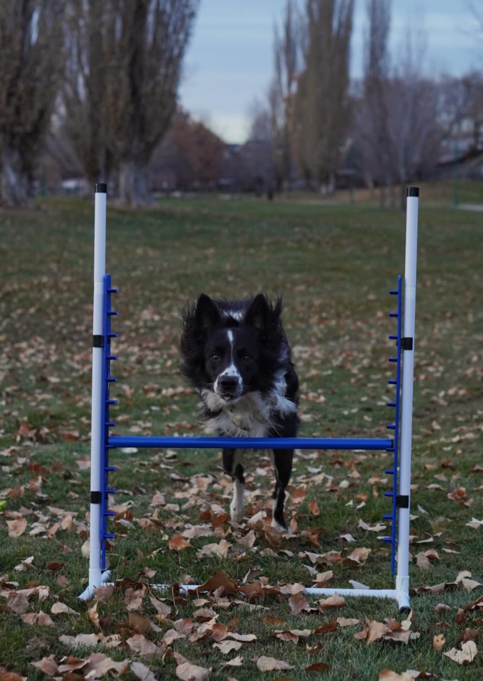 4-Pack Adjustable Dog Agility Bar Jumps With Jump Cups - Competition Style Training Equipment For Backyard
