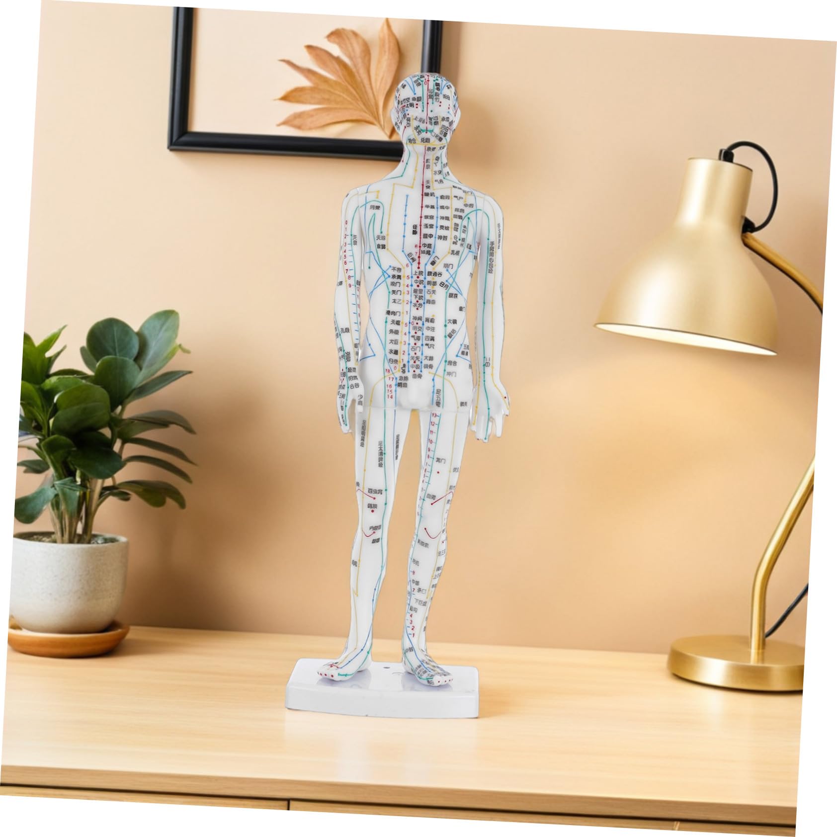 Manichino Meridiani Corpo Umano Bianco in Plastica per Agopunti | Aule Cliniche, Istruzioni Localizzazione, Supporto Gestione Salute, Professionisti, Operatori del Massaggio