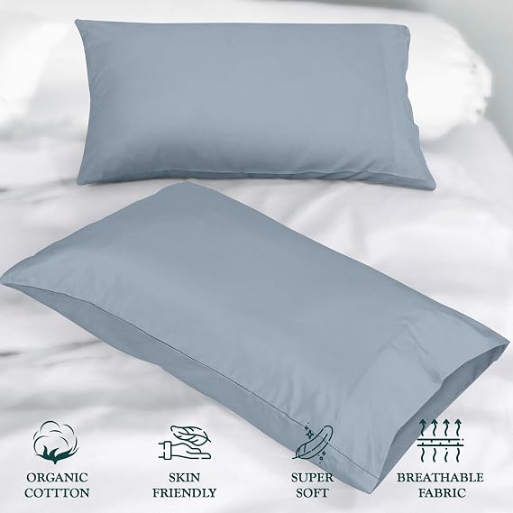 Royale Linens 300 Thread Count 100% Cotton Queen Pillowcase 2 Pack Lakeblue
