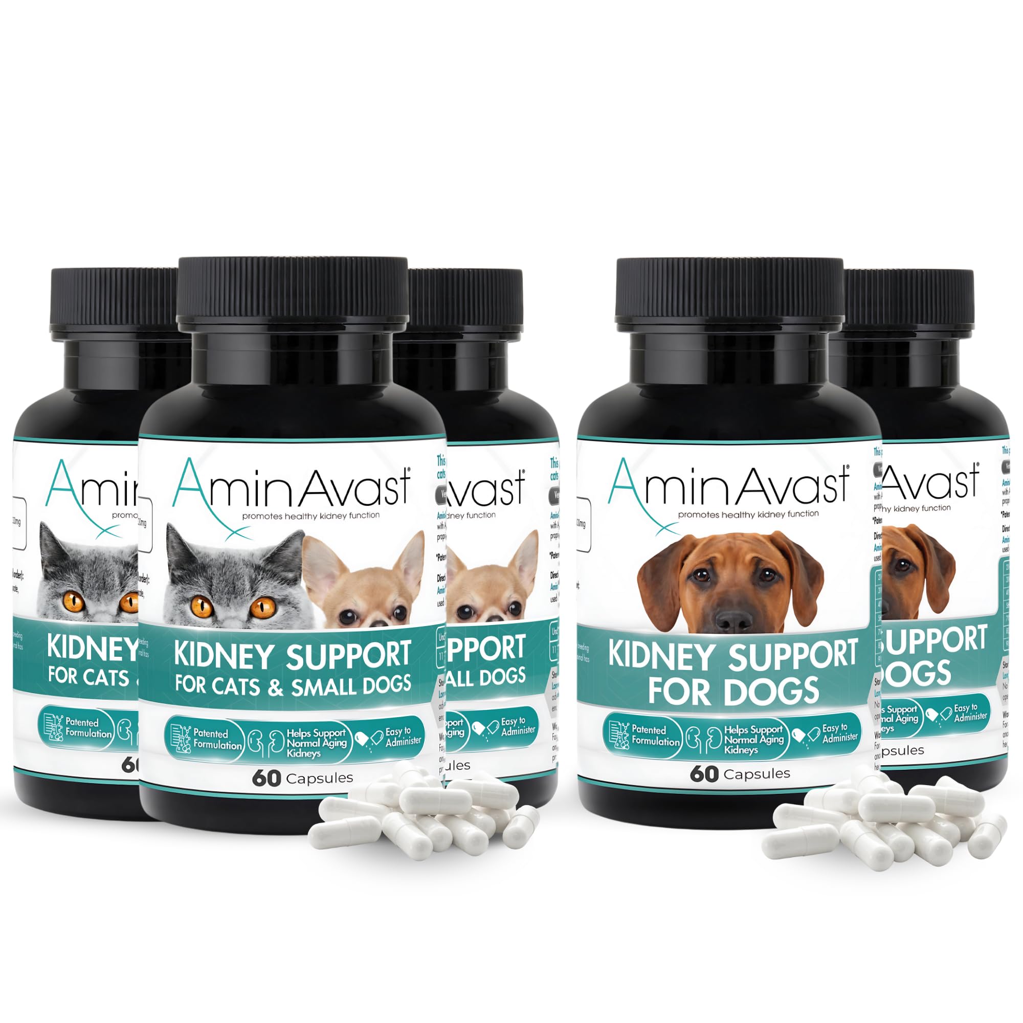 Amazon.com : AminAvast Kidney Support Supplement for Cats, Small