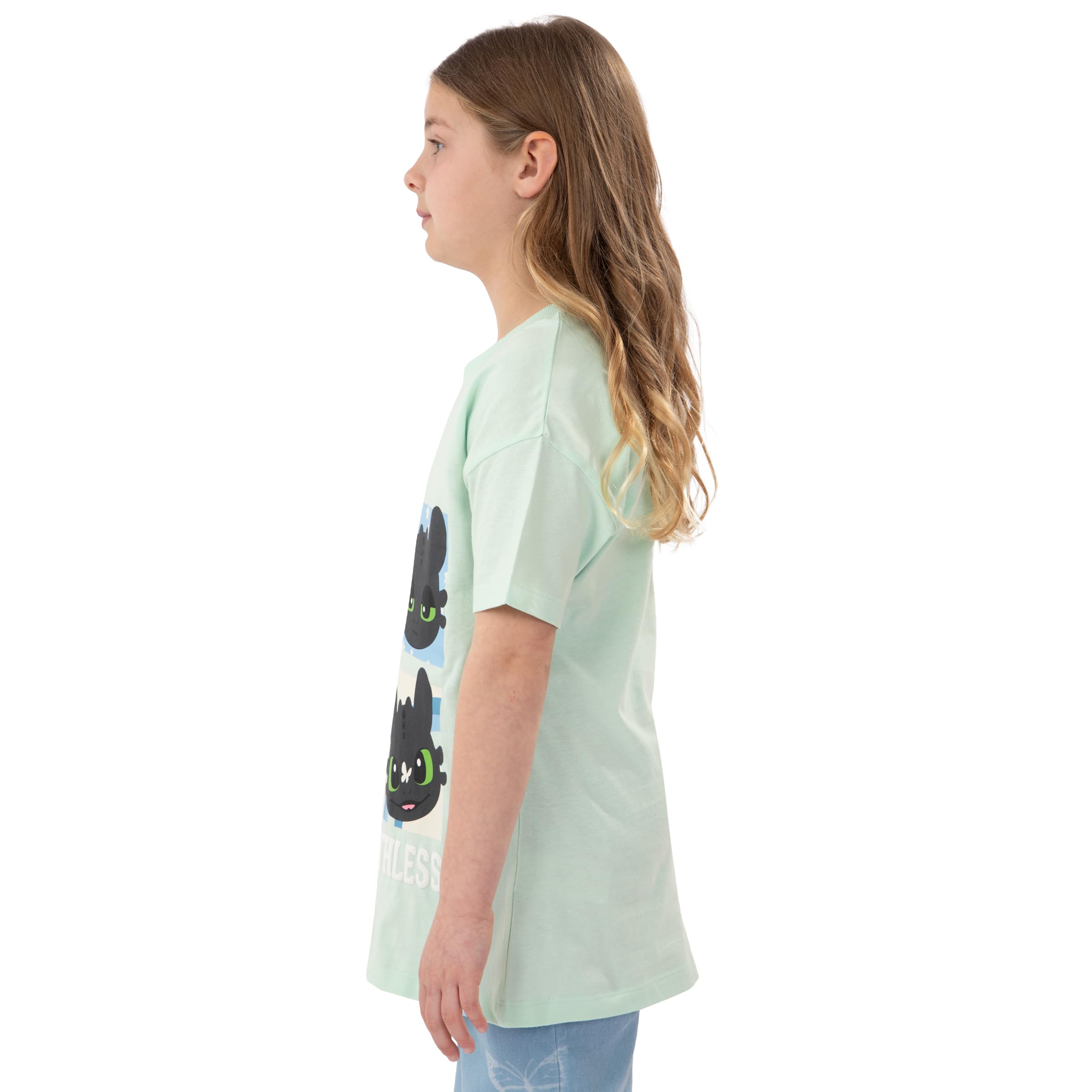 How To Train Your Dragon Camiseta Niña, Camiseta Manga Corta Niña Toothless, Ropa De Niños para Verano, Camisetas Niño De Algodón