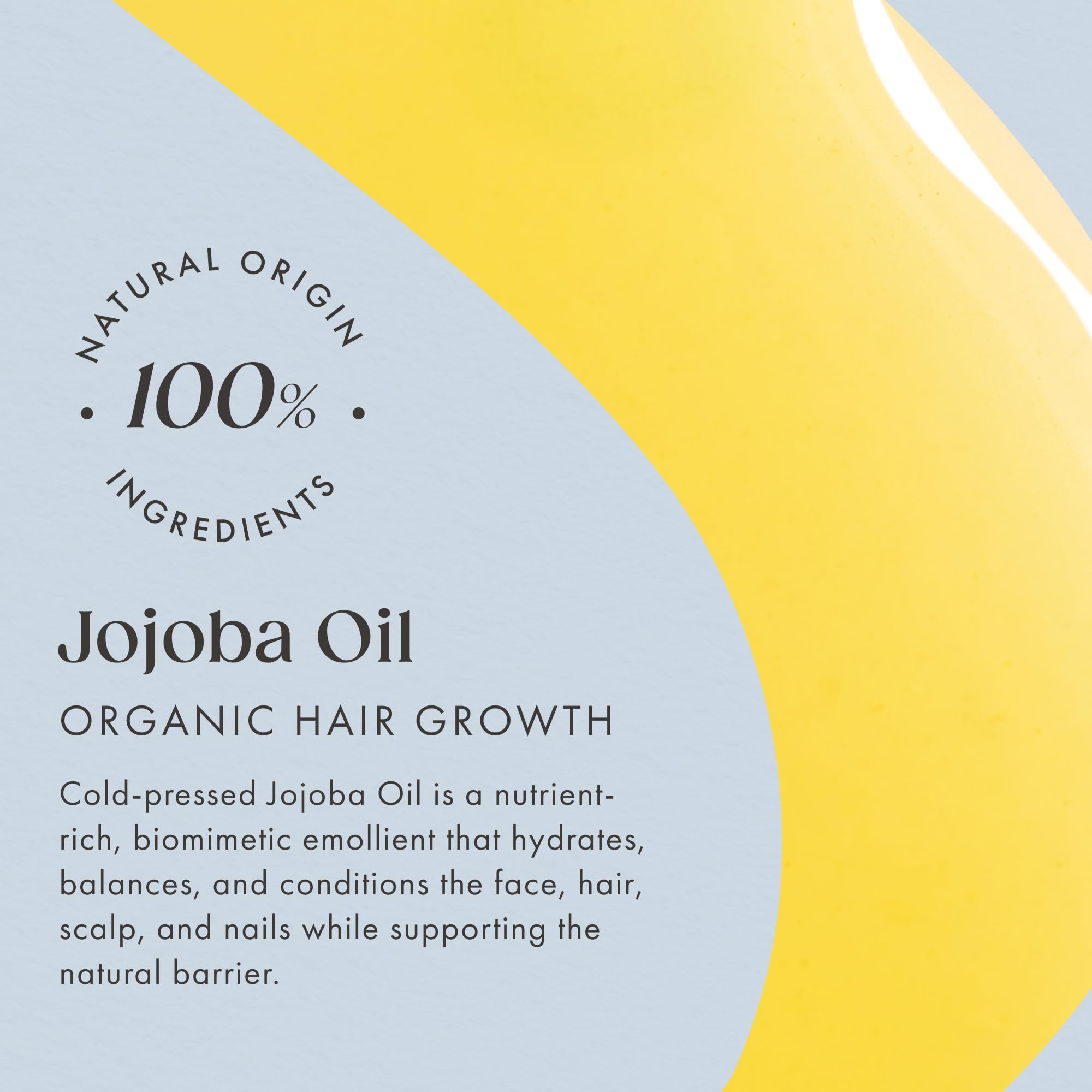 Organiczny olej jojoba wegański, na zimno + 100% czysty - 200 ml światła szklana butelka - pielęgnacja skóry bogata w witaminę E dla miękkiej skóry i włosów i zdrowych paznokci - naturalne kosmetyki Satin Naturel