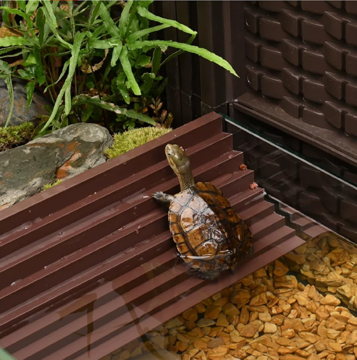 Large Tortoise Habitat Tank with Drainage & Glass Pool,Turtle Habitat Tank,Indoor/Outdoor Reptile Habitat,Aquatic & Terrestrial Turtle Terrarium with Wheels,Ideal for Pet Turtles,Reptile Enclosure