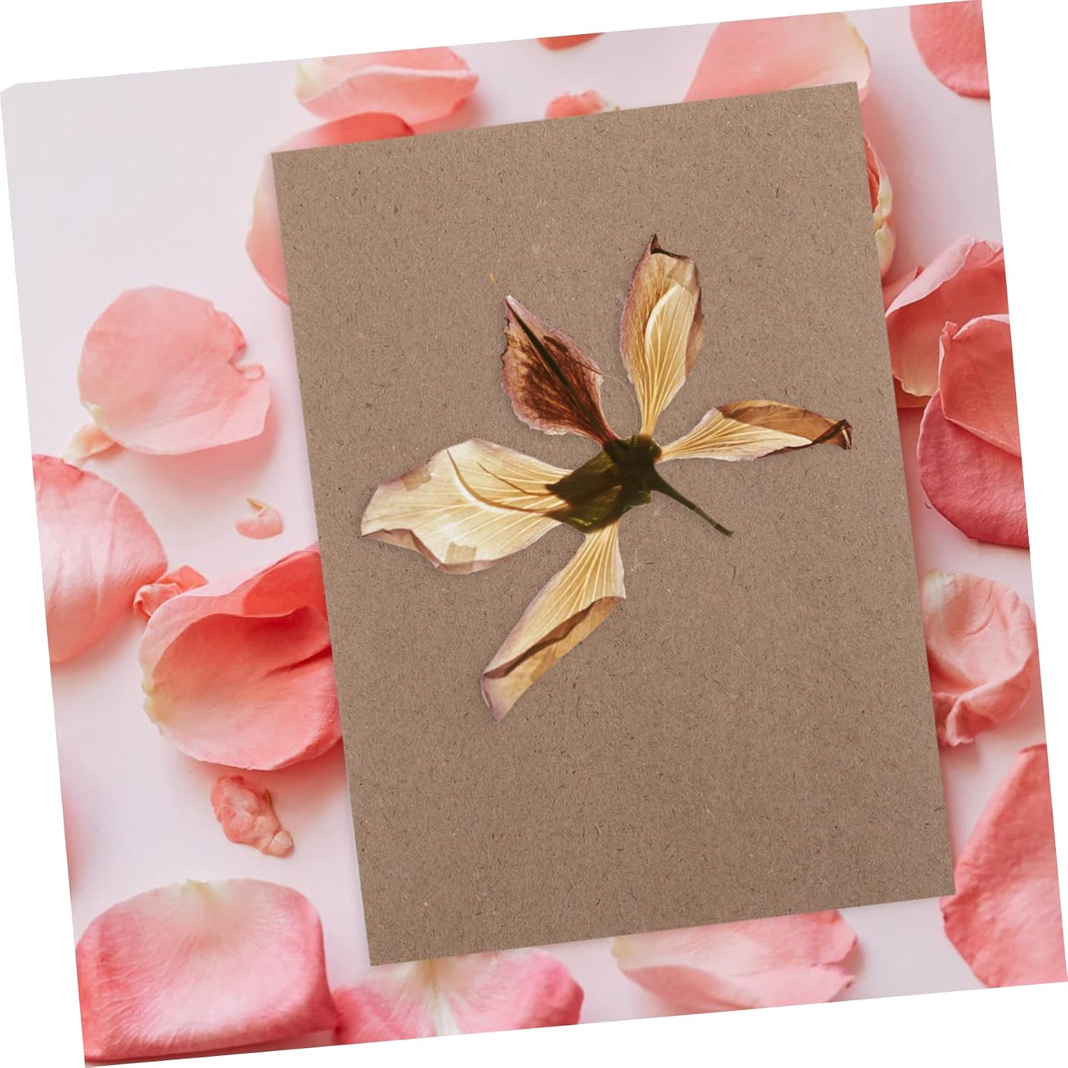 Uonlytech 6sheets Embossed Absorbent Pressing Boards for Flower Press Specimen Press Paper Plant Pressing Tool Drying Board for Botany Crafts Gifts