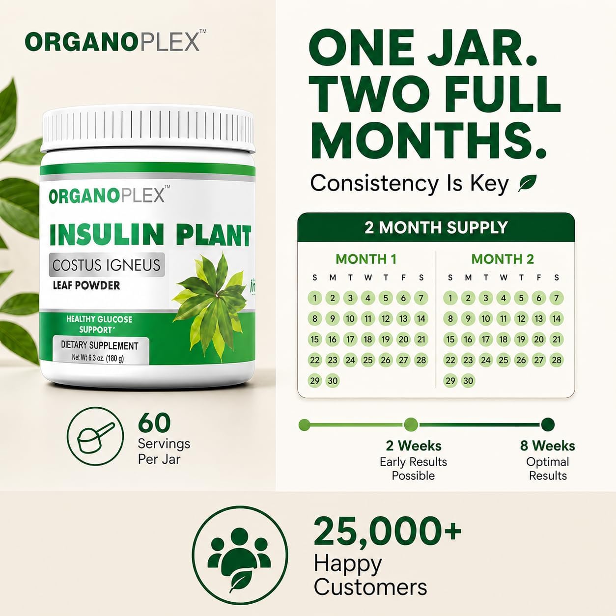 Insulin Plant Powder - Blood Sugar Support Supplement - 2 Month Supply image 3