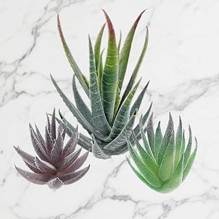 Artificial Succulents Set of 3 Realistic Small Succulent Plants Imitation Greenery for Home Office Desk Bathroom Wedding Party Decor
