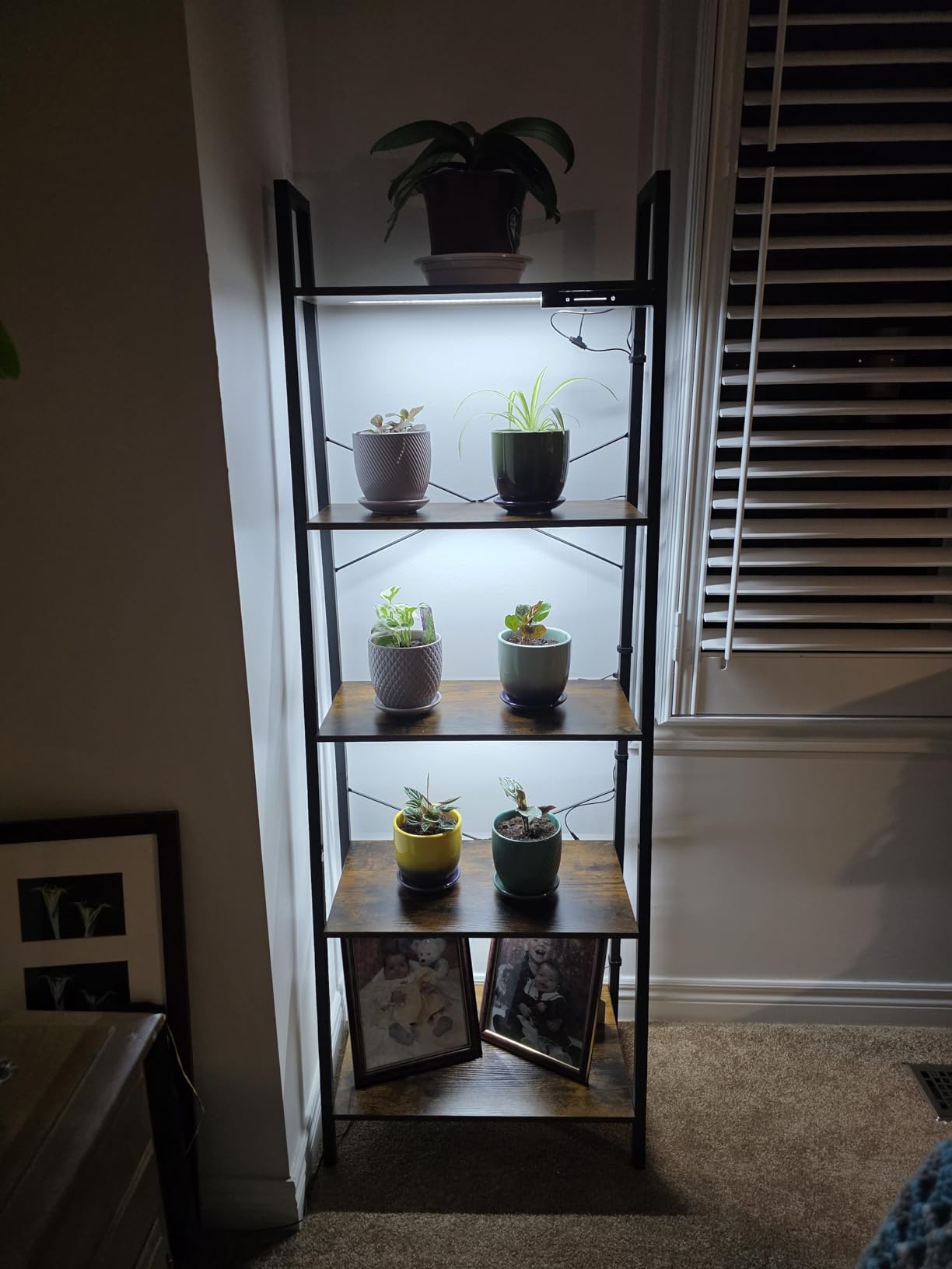 Customer photo