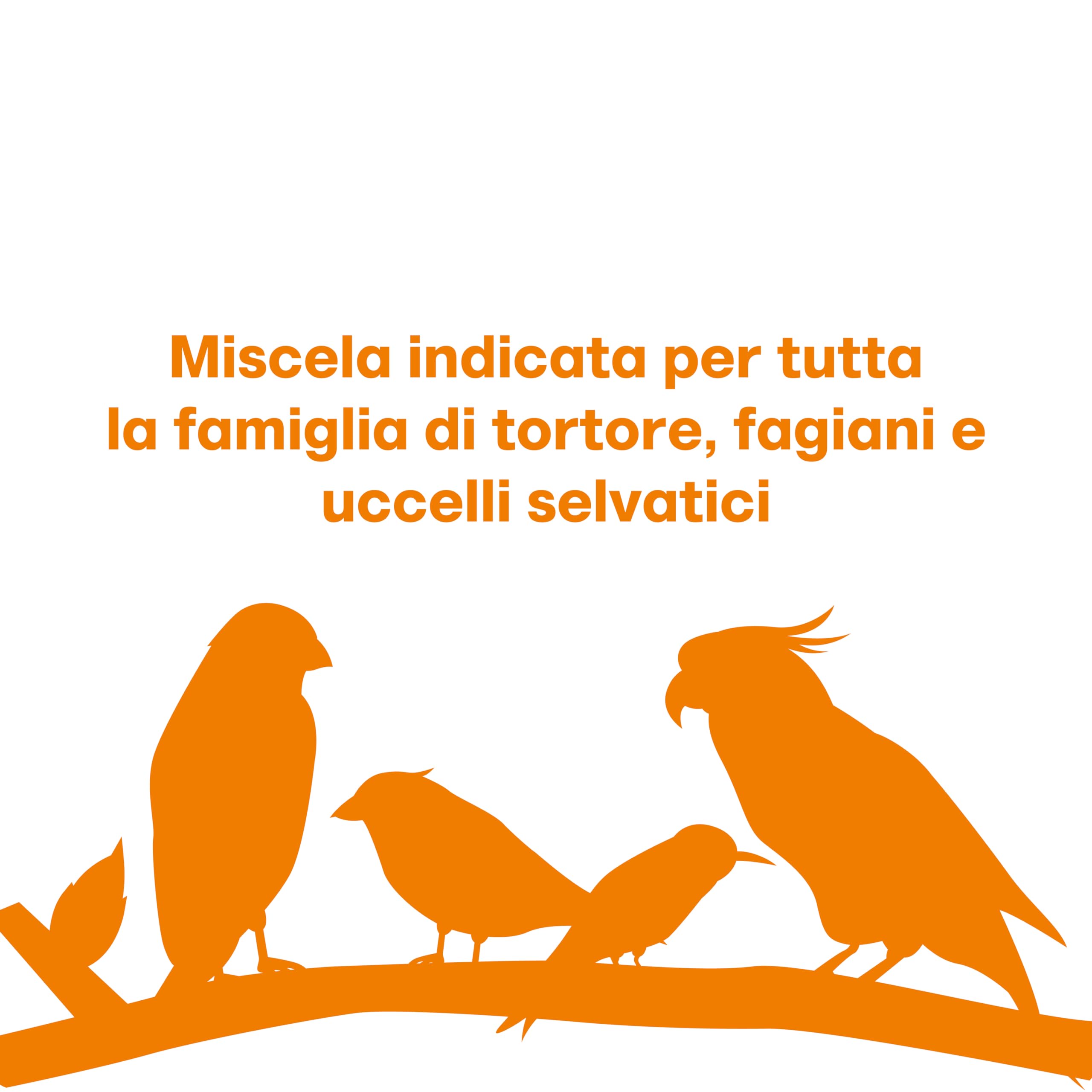 Il Contadino - Antichi Becchimi | Misto per TORTORE e FAGIANI | Formula Ricca di Semi Selezionati Adatta per Tutto L'Anno, No OGM, 100% Vegetale, Assenza di scarti. qualità Superiore (10 kg)