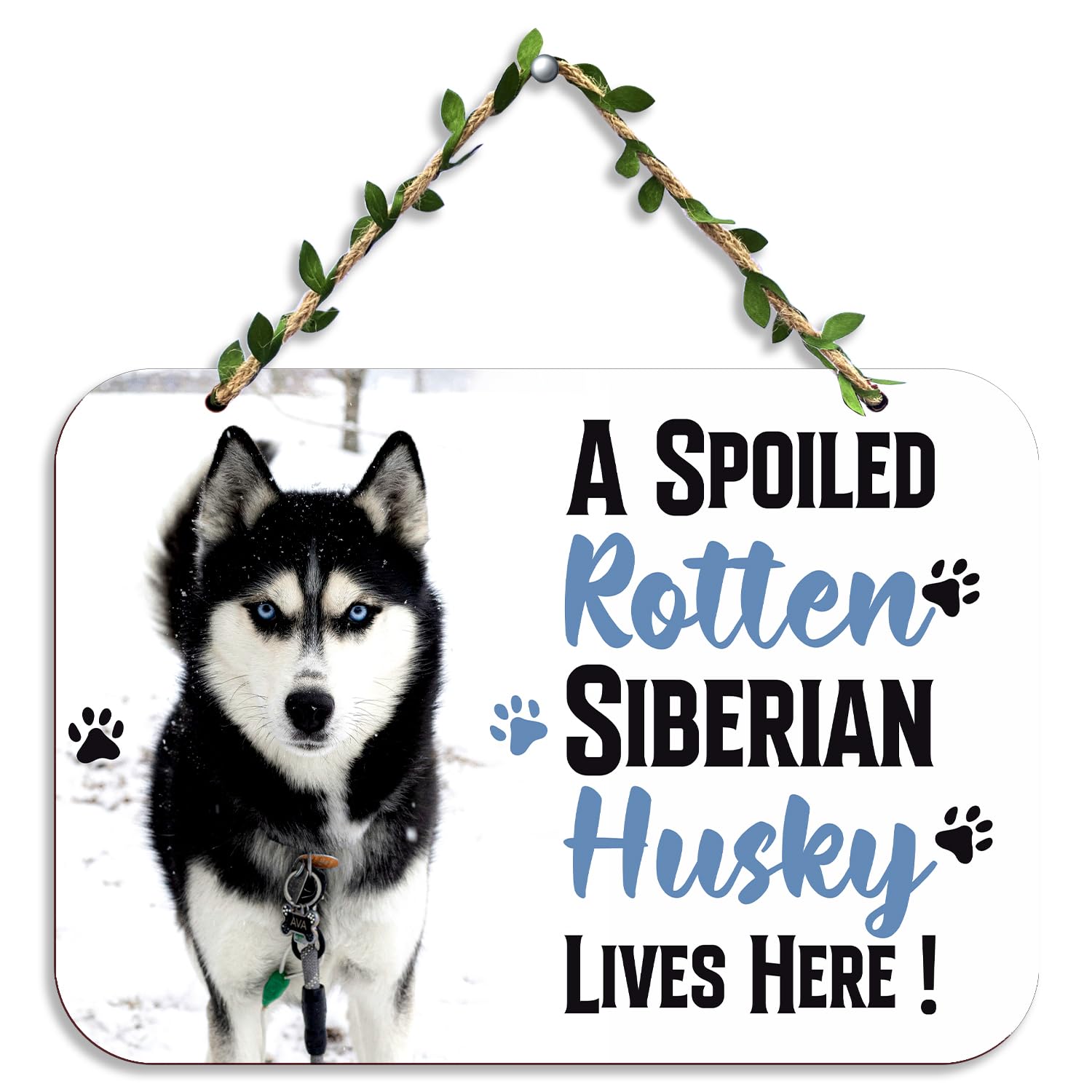 Sehaz Artworks Wall Hanging for Dog | Dog Sign for Home | Siberian Husky