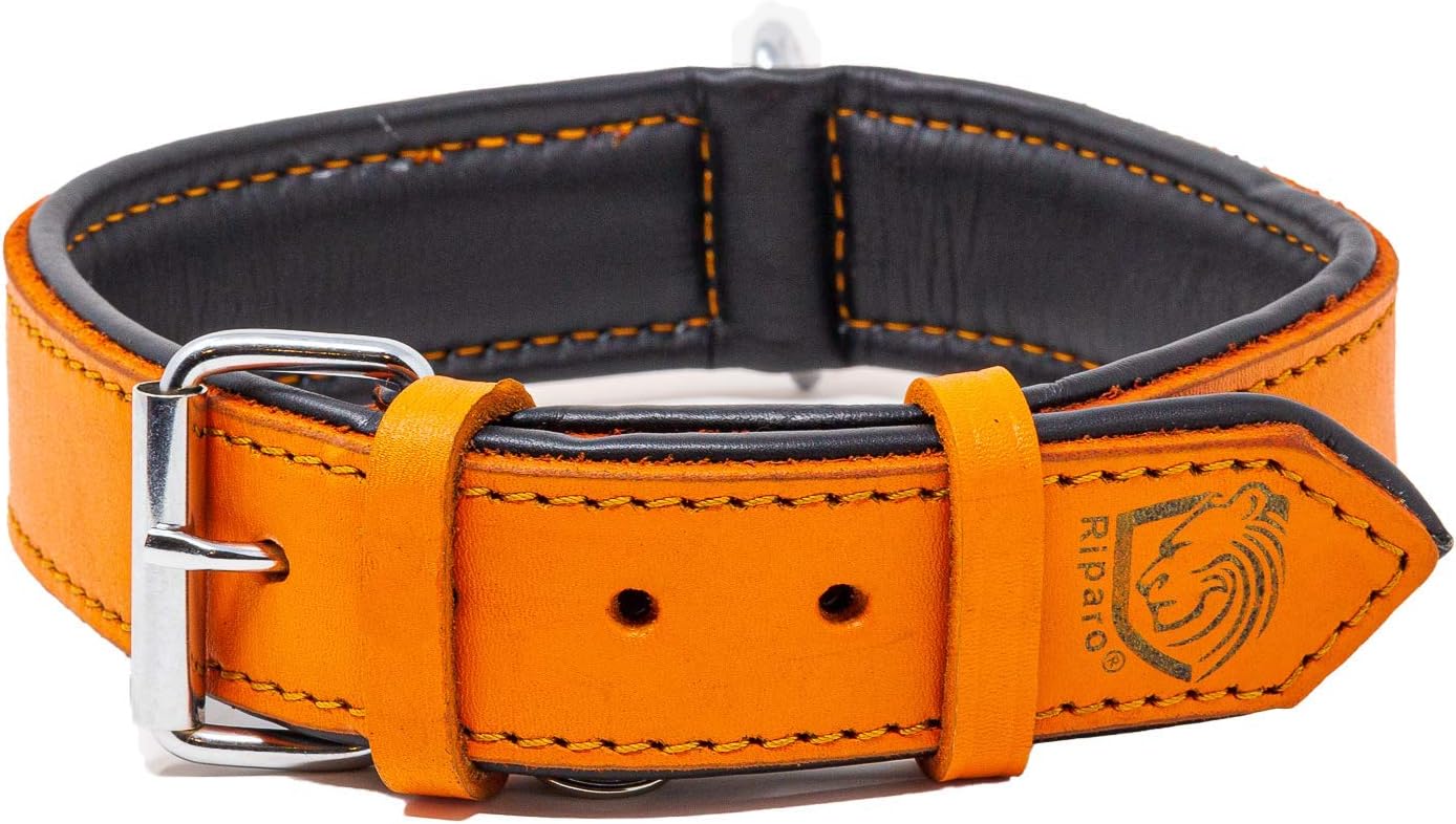 Riparo Leather Dog Collar and Leash Set - Double Handle Dog Leash 6 ft x 3/4" and Heavy Duty Wide Dog Collar for Large Dogs