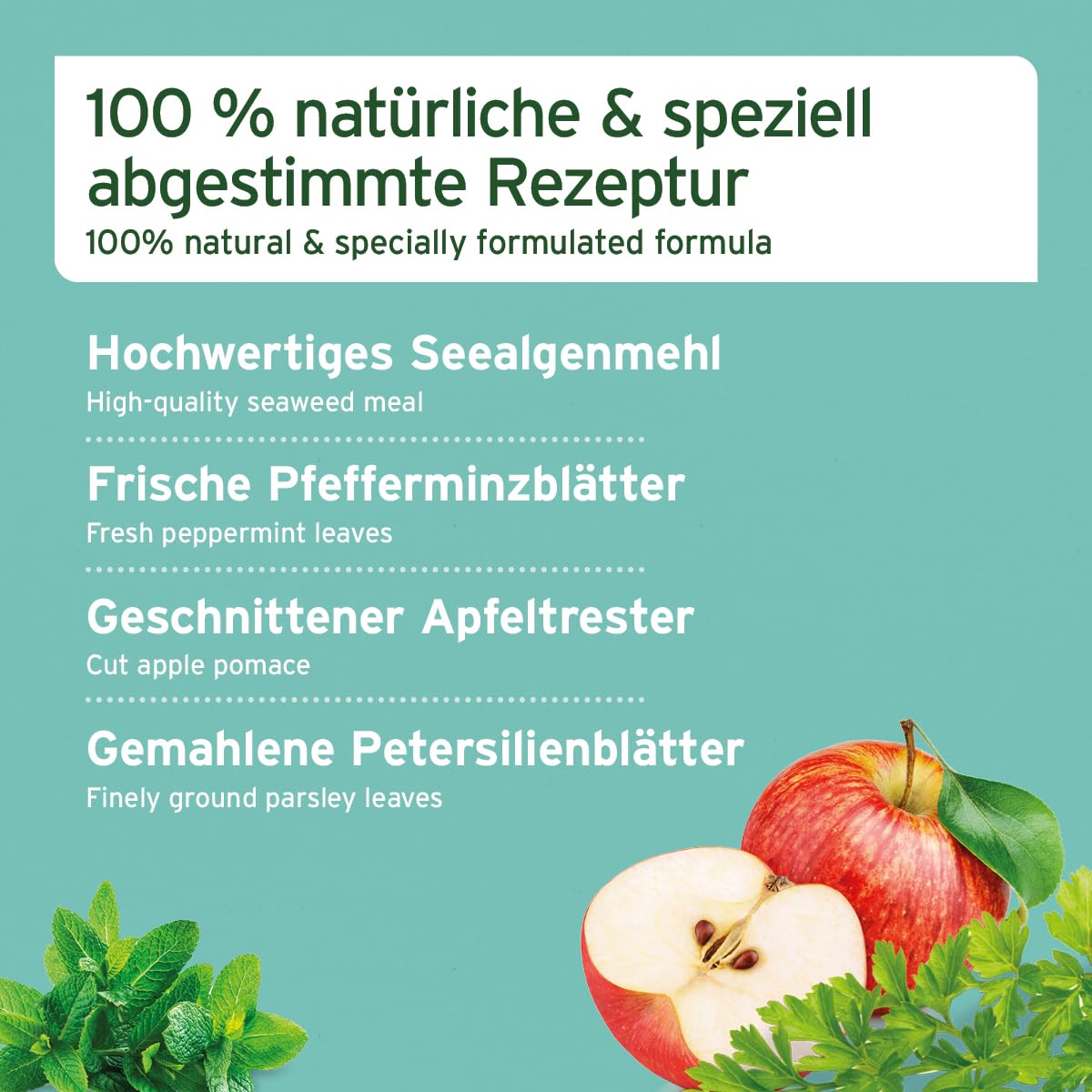 AniForte Denta Clean & Care Zahnpflege Pulver für Hunde & Katzen 300g – effektive & natürliche Zahnreinigung, gegen Mundgeruch, Zahnsteinentferner für Mundhygiene