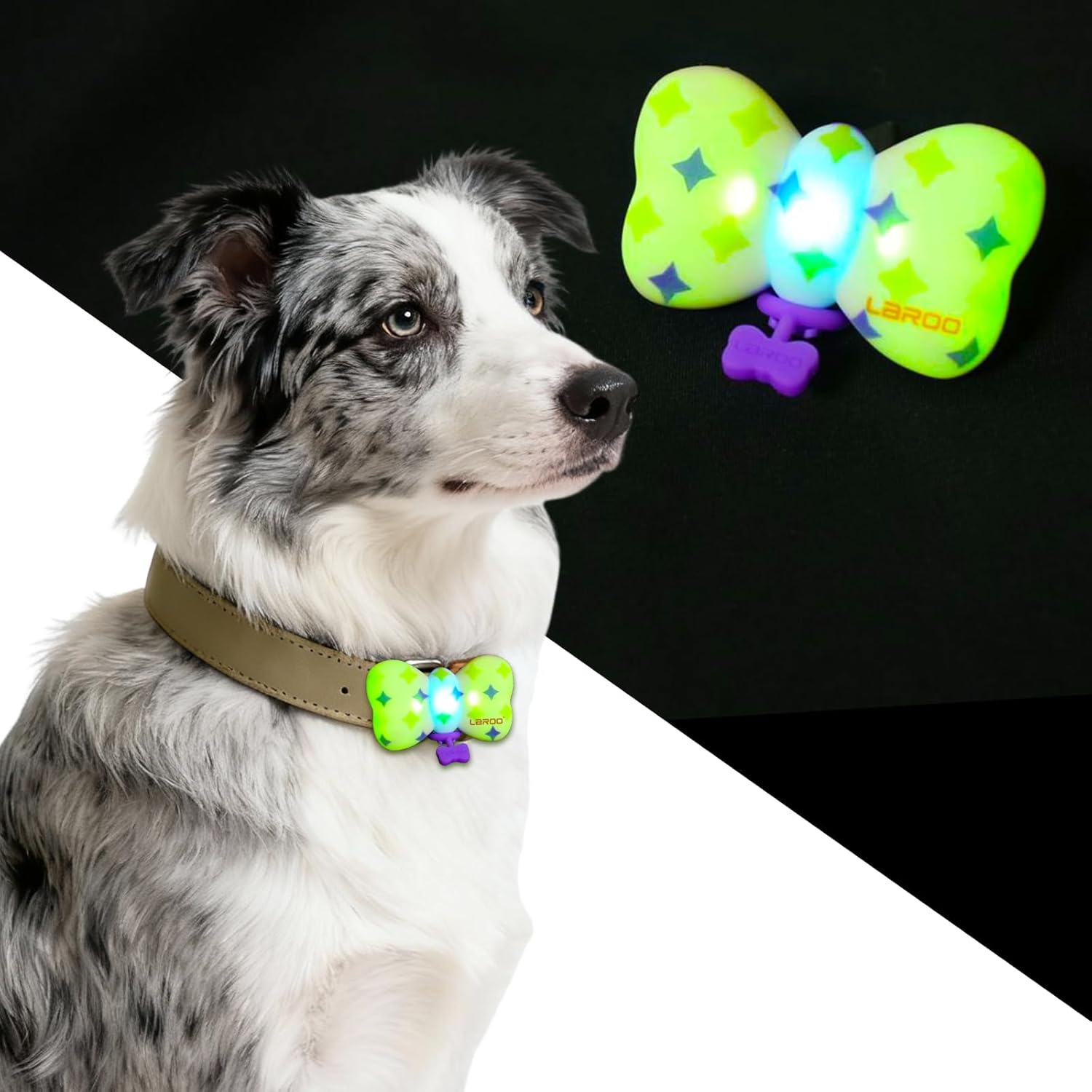 USB-C Rechargeable Dog Collar Lights for Night Safety – Waterproof, Lightweight & Colorful (Purple) USB-C Rechargeable Dog Collar Lights for Night Safety – Waterproof, Lightweight & Colorful (Purple)