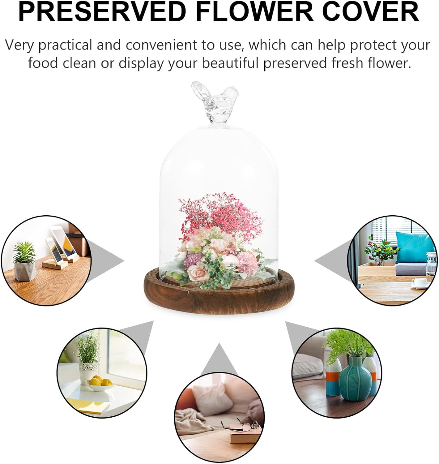 FUOYLOO Cloche Glass Dome Display Bell Jar Bird Top Handle and Solid Wood Base Cake Cover for Silk Flower Arrangements Eternal Flower Storage for Party Favor