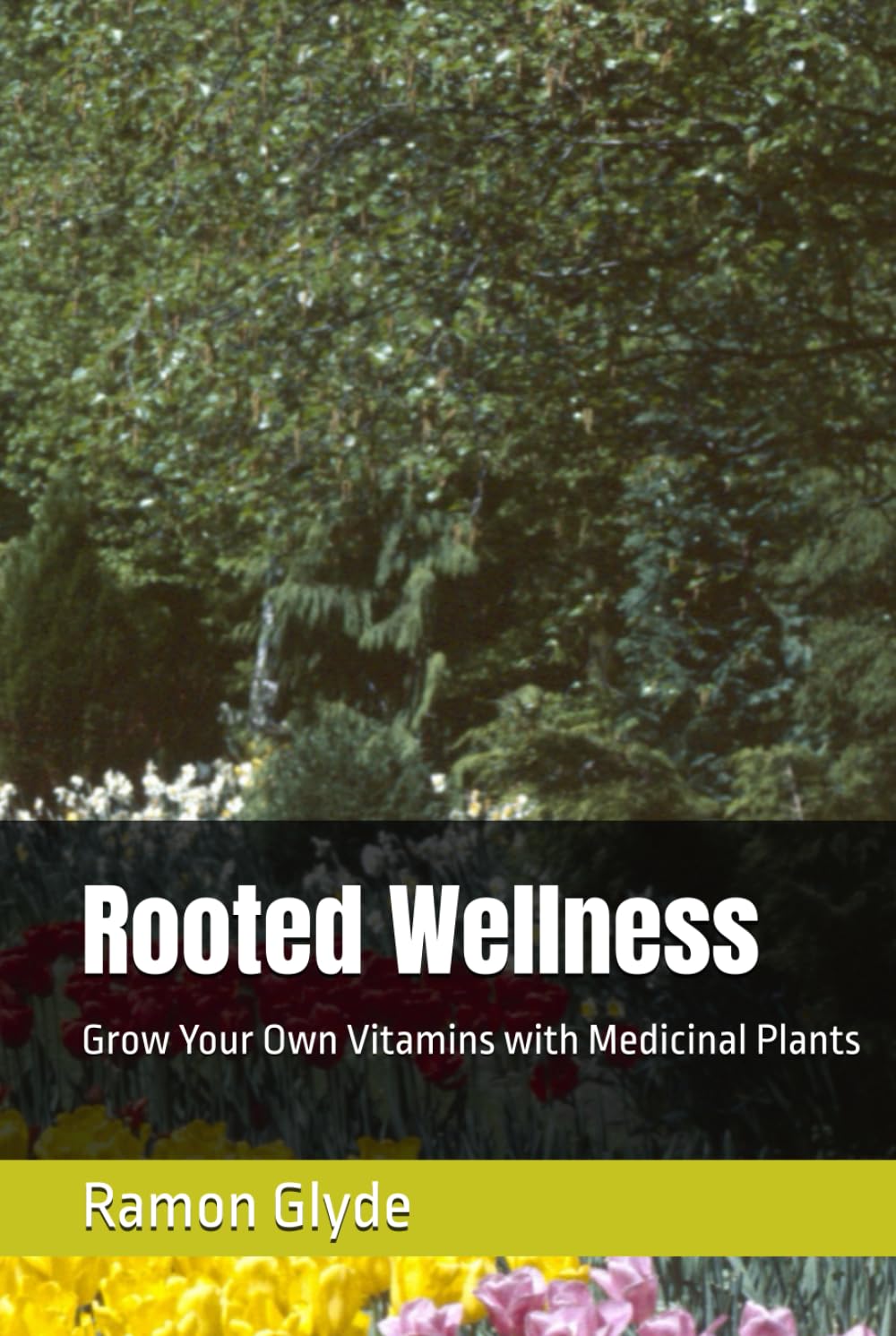 Rooted Wellness: Grow Your Own Vitamins with Medicinal Plants