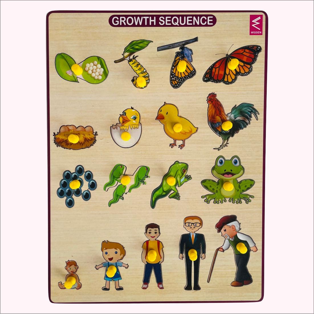 See full amazon price history chart for WISSEN Growth Sequence Peg Board Puzzle for Kids - 12 * 9 inch | Montessori Learning | Educational Toy for Preschoolers, Kids. WISSEN Growth Sequence Peg Board Puzzle for Kids - 12 * 9 inch | Montessori Learning | Educational Toy for Preschoolers, Kids. (B0CBZ6D16P) Amazon Price History, Amazon Price Tracker