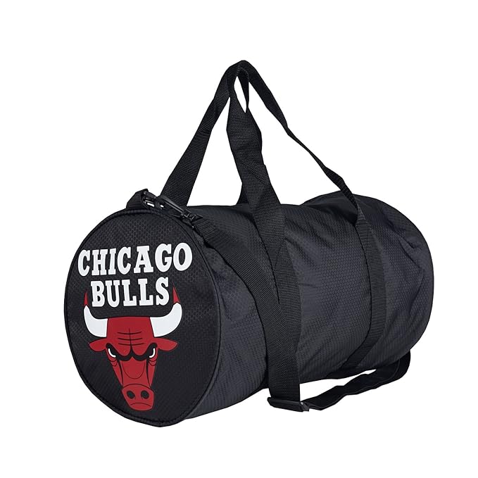 ortlieb carrying system