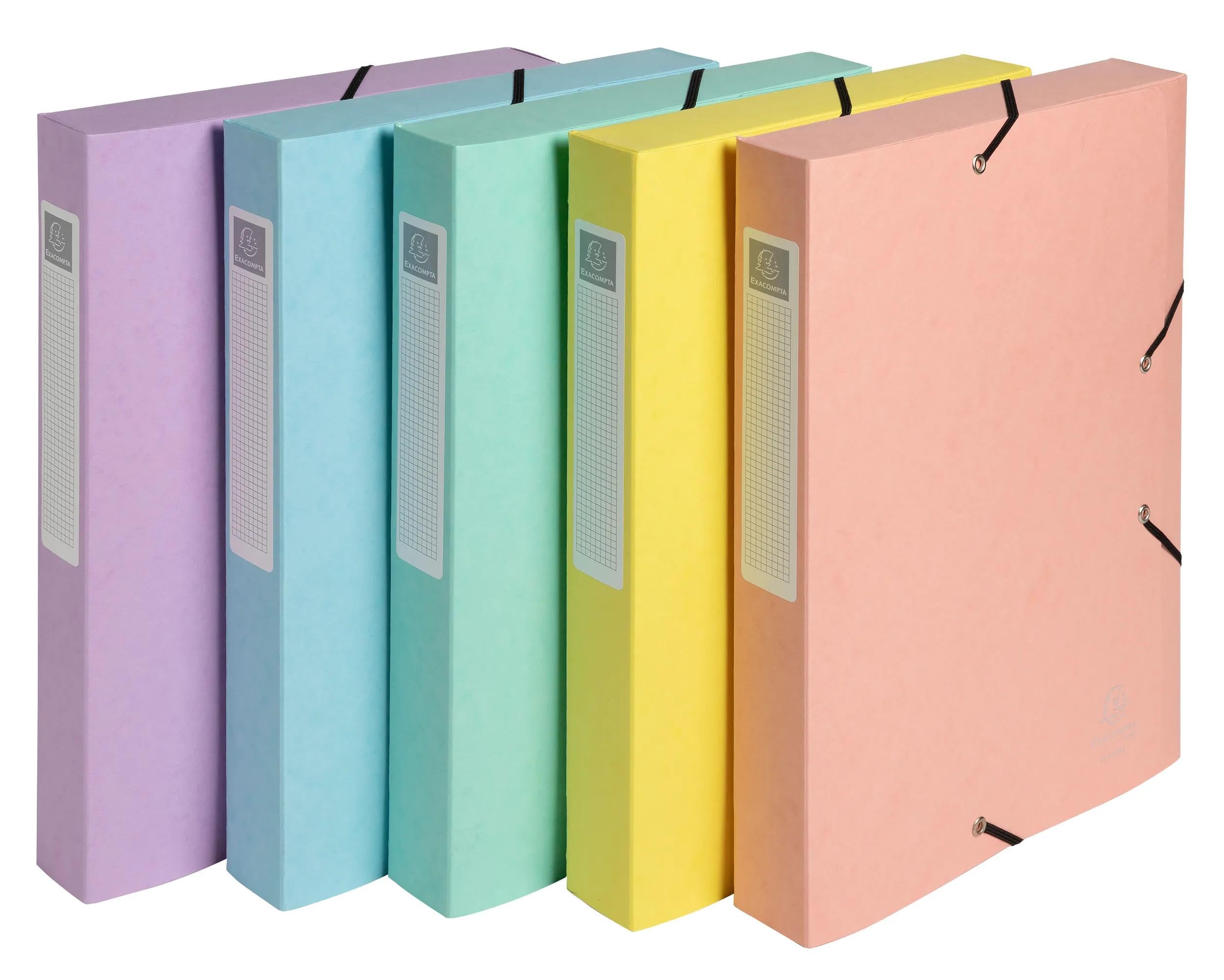 Exacompta - Ref 14460E - 10 Boxes with Elastic Bands CARTOBOX - Delivered Flat - 4 cm Spine - in Glossy Aquarel Card - Dimensions 25 x 33 cm - for A4