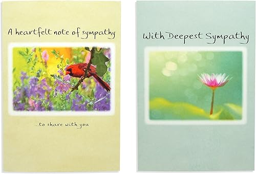 Miniatura 2 de Blue Mountain Arts Surtido de tarjetas de condolencia: 2 tarjetas de felicitación únicas con palabras de comodidad para enviar tus condolencias más