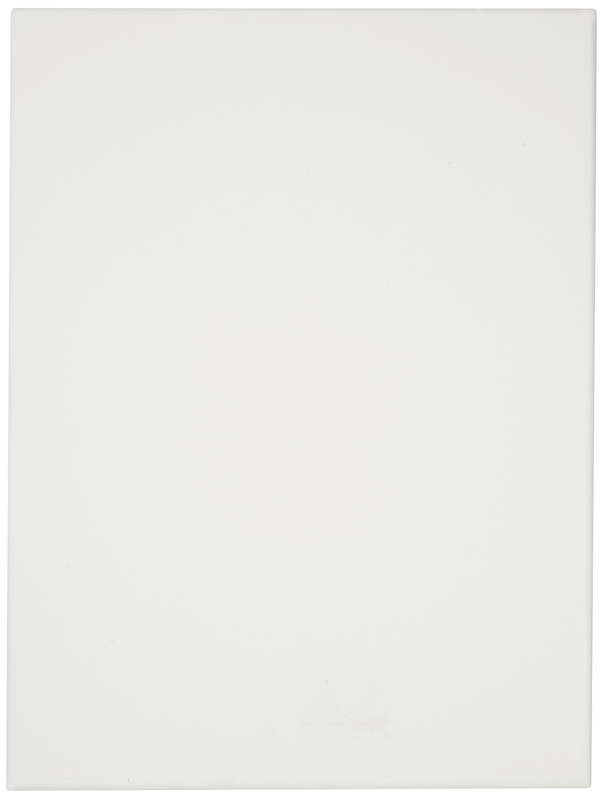 Winsor & Newton 12 x 16-Inch Classic Linen Traditional Canvas (Pack of 1)