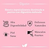 Ver la foto 2