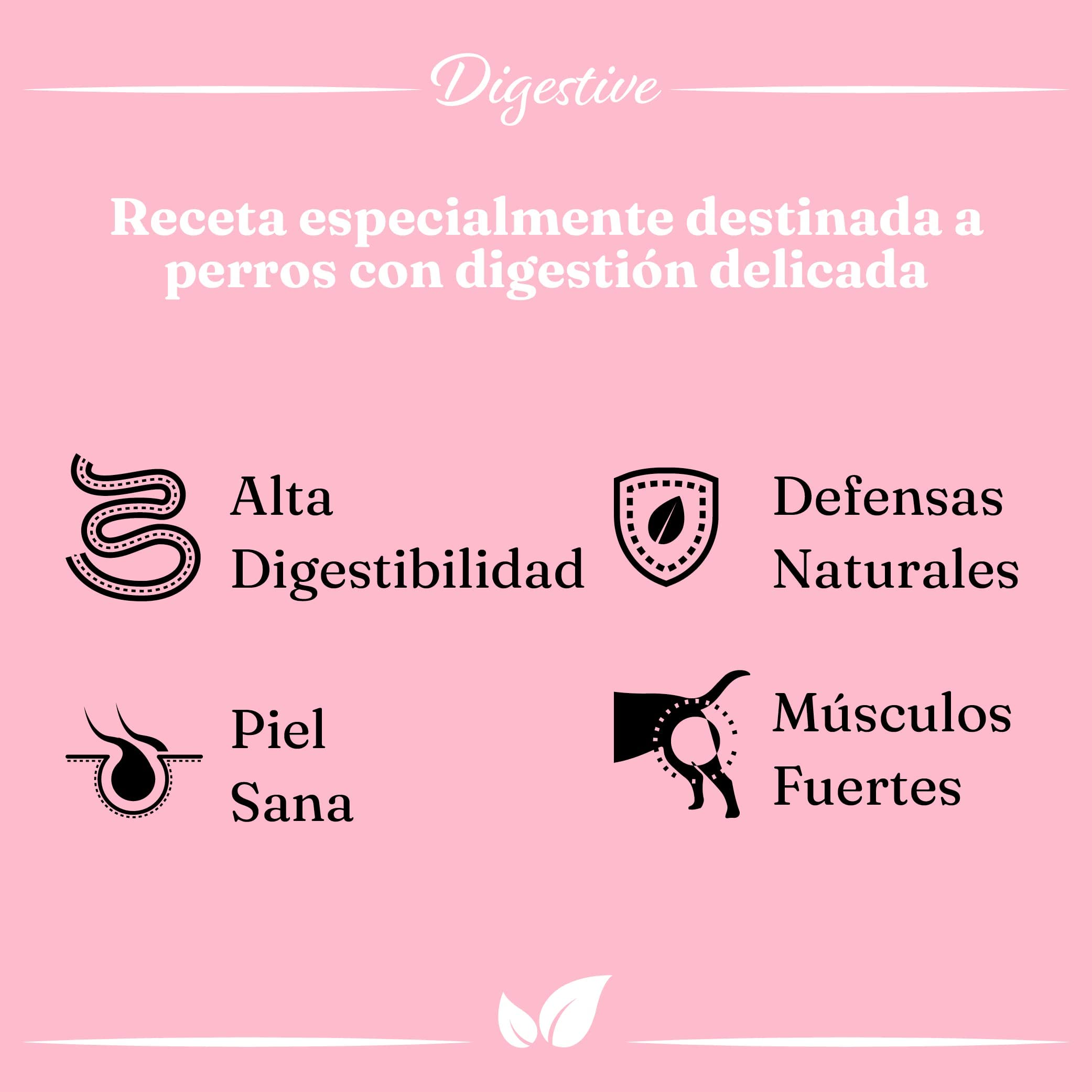 Pienso de Salmón para Perros Adultos | Ingredientes Naturales | Libre de GMO | Carne como Primer Ingrediente | Gran Sabor, 12 Kg