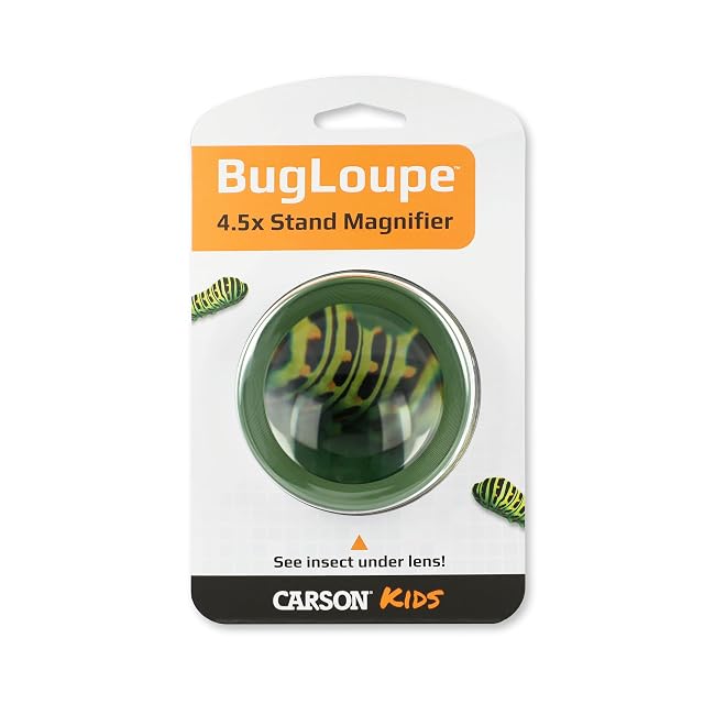 Foto 2 de 6 de Carson BugLoupe Lupa con Gran Aumento de 4.5x