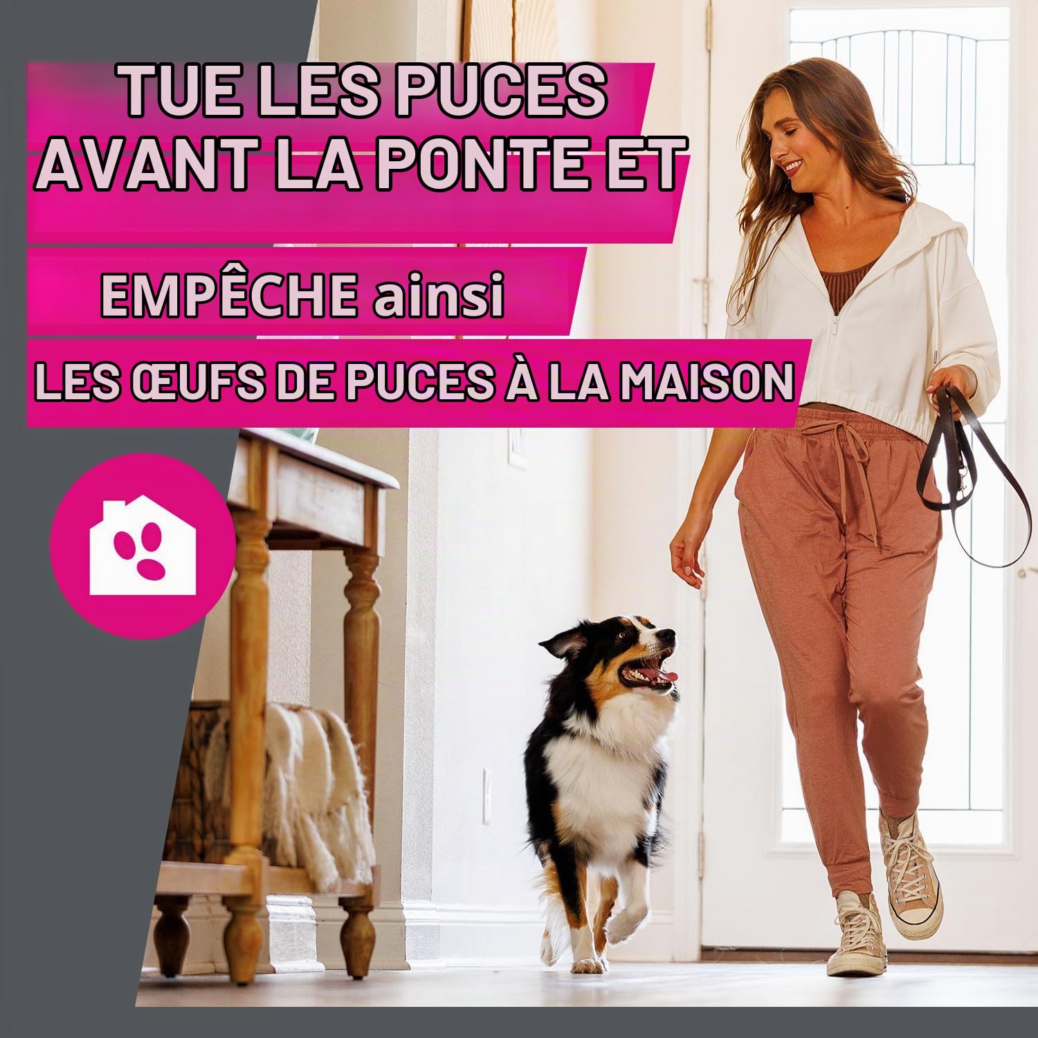 FRONTLINE TRI-ACT Chien S contre les tiques, les puces et les moustiques (5 à 10 kg)