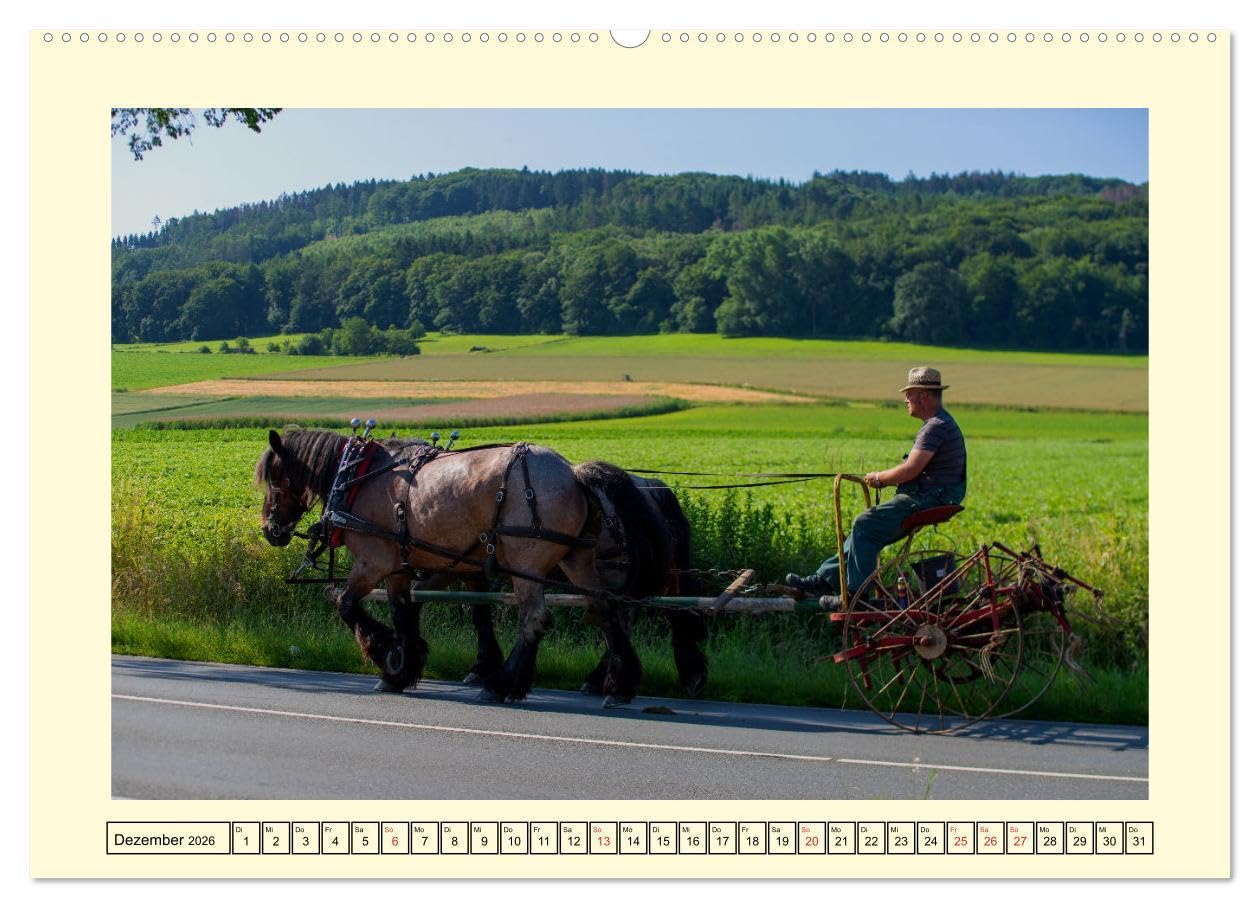 Arbeitspferde - Alltag des belgischen Kaltbluts (hochwertiger Premium Wandkalender 2026 DIN A2 quer), Kunstdruck in Hochglanz: Dieser Kalender zeigt ... belgischen Kaltblütern (CALVENDO Mobilitaet)