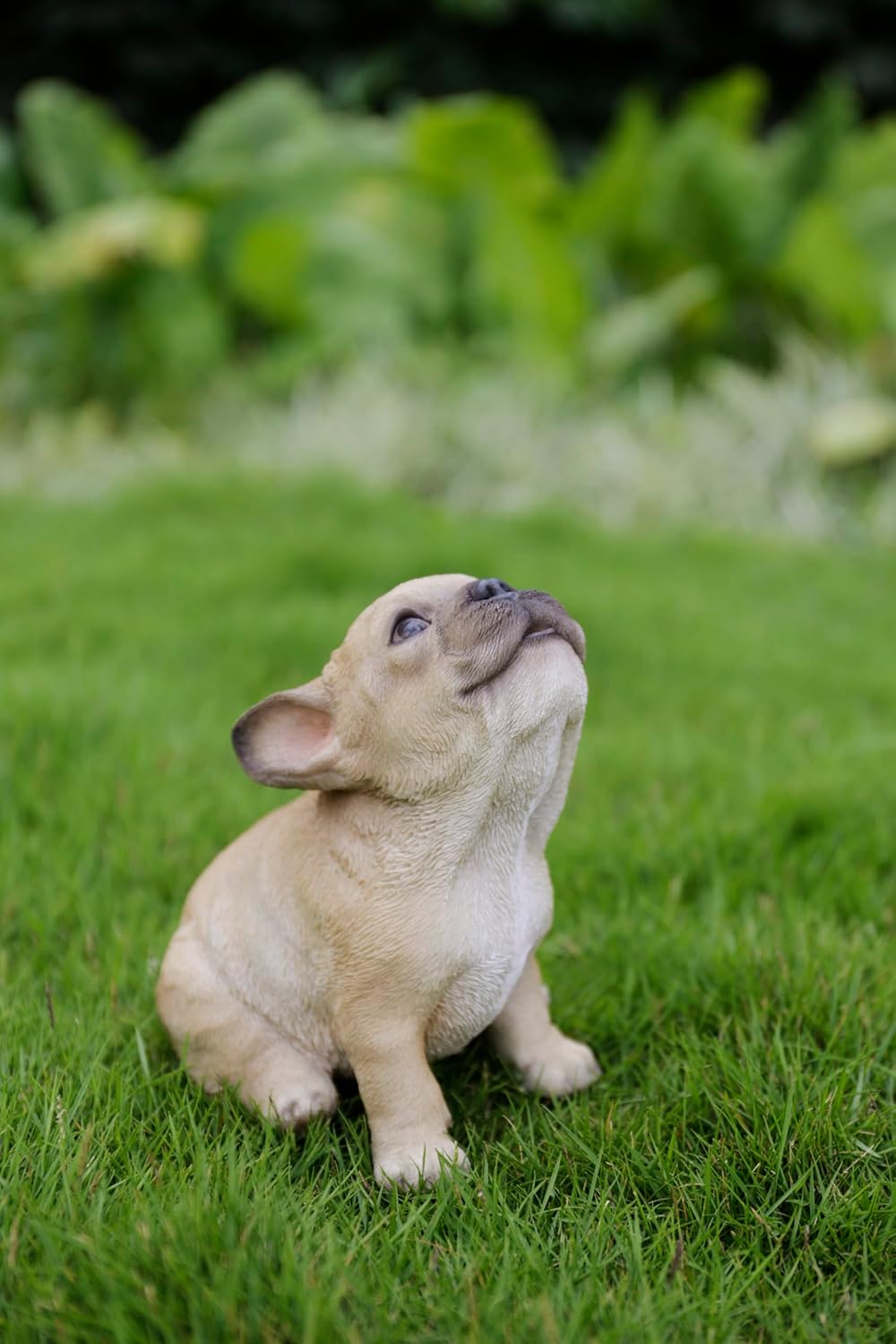 Hi-Line Gift Ltd. French Bulldog Puppy Howling