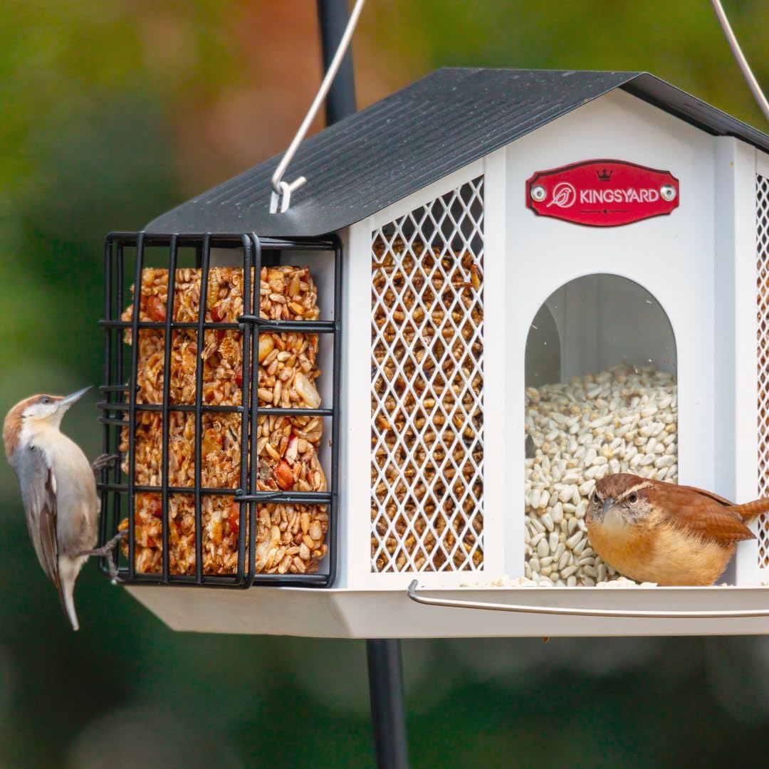 Kingsyard Large Metal Bird Feeders for Outdoors Hanging with Weatherproof Roof, 4 in 1 Removable Double Suet Feeder for Woodpecker, 4 Lbs Capacity for Cardinal Finch Chickadee, White