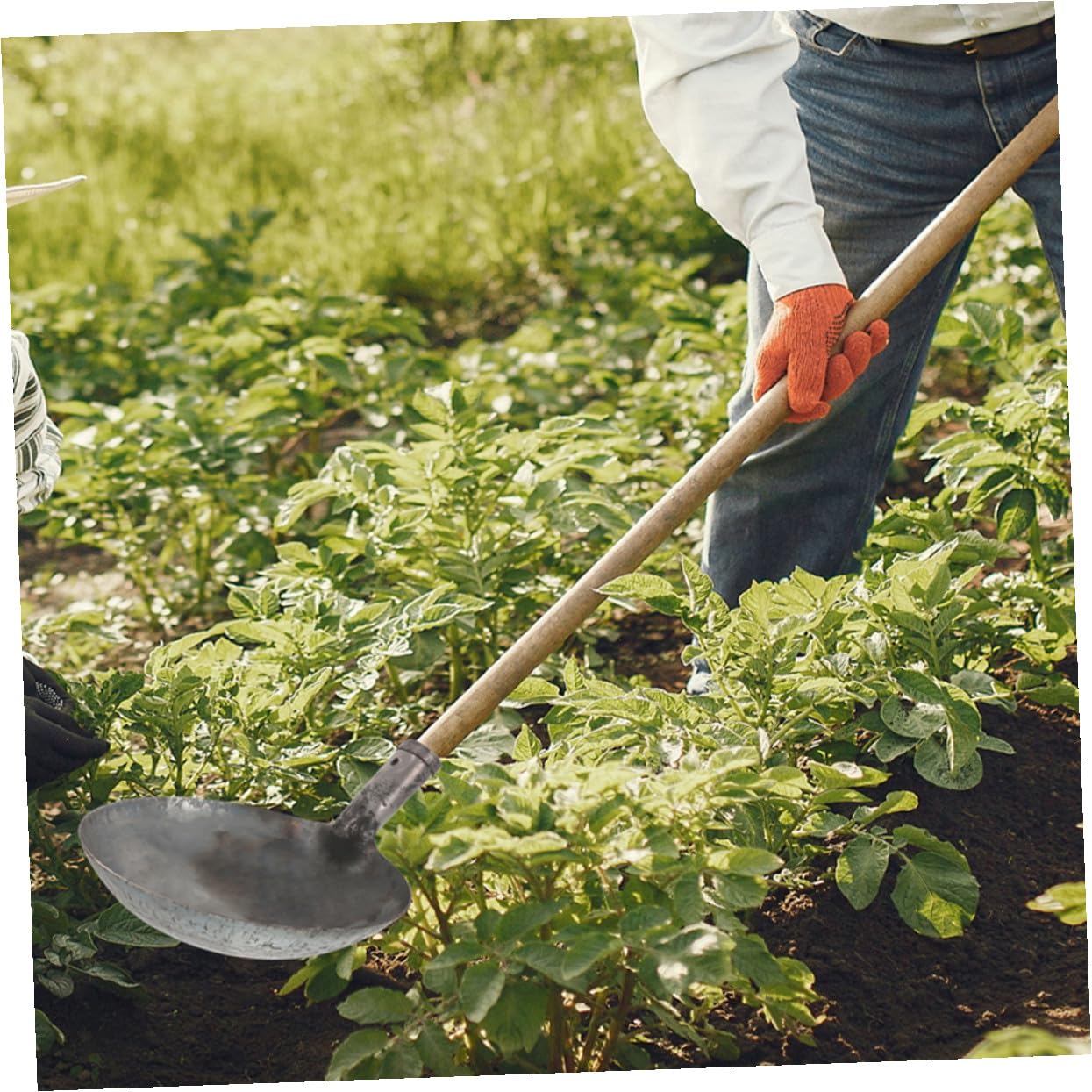 Supvox Eisenkelle Wasserschöpfer für Garten und Küche Tragbare Gießschaufel mit Ergonomischem Griff Multifunktionale Handwerkzeug für Gartenpflege und Außenküche