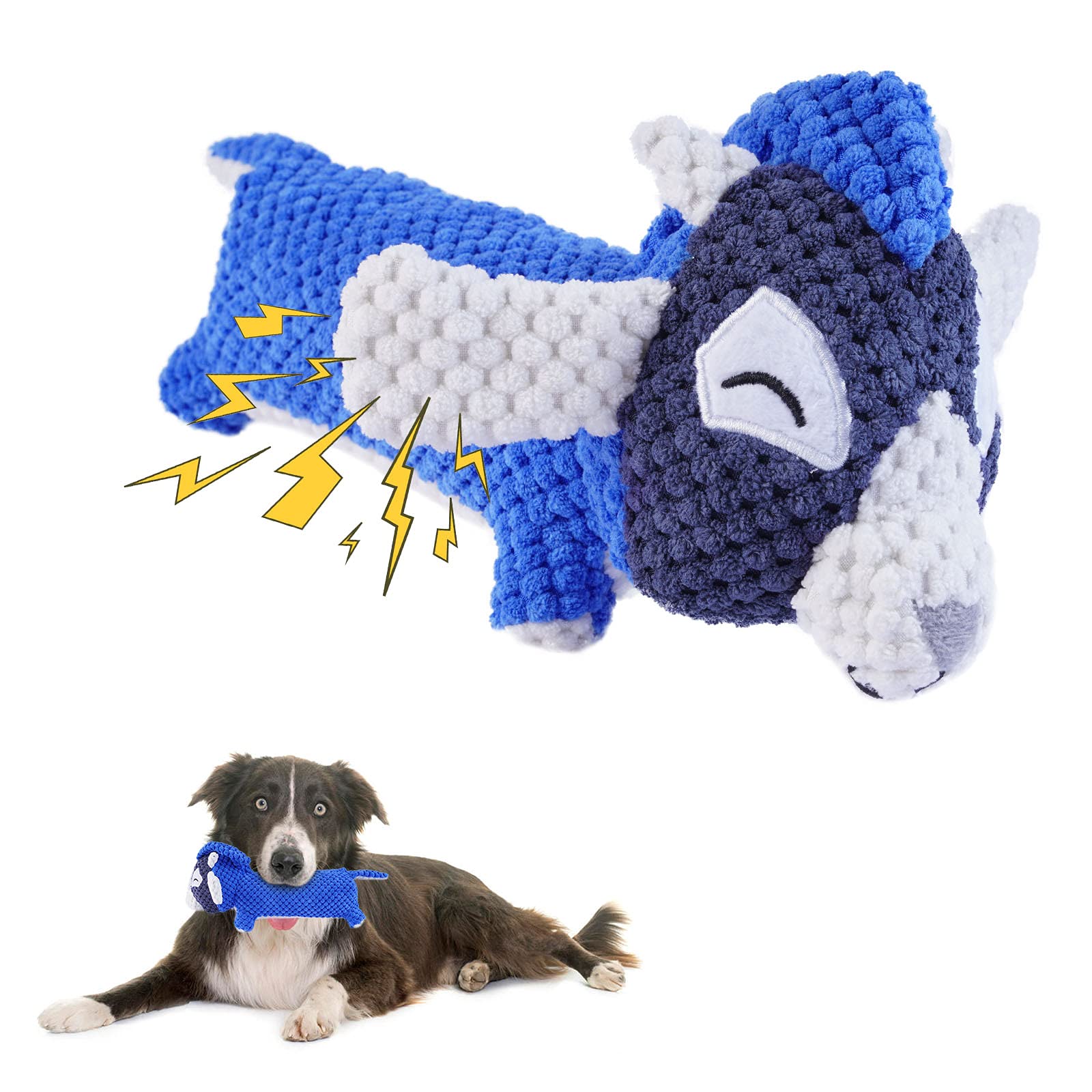 a teddy bear pomeranian