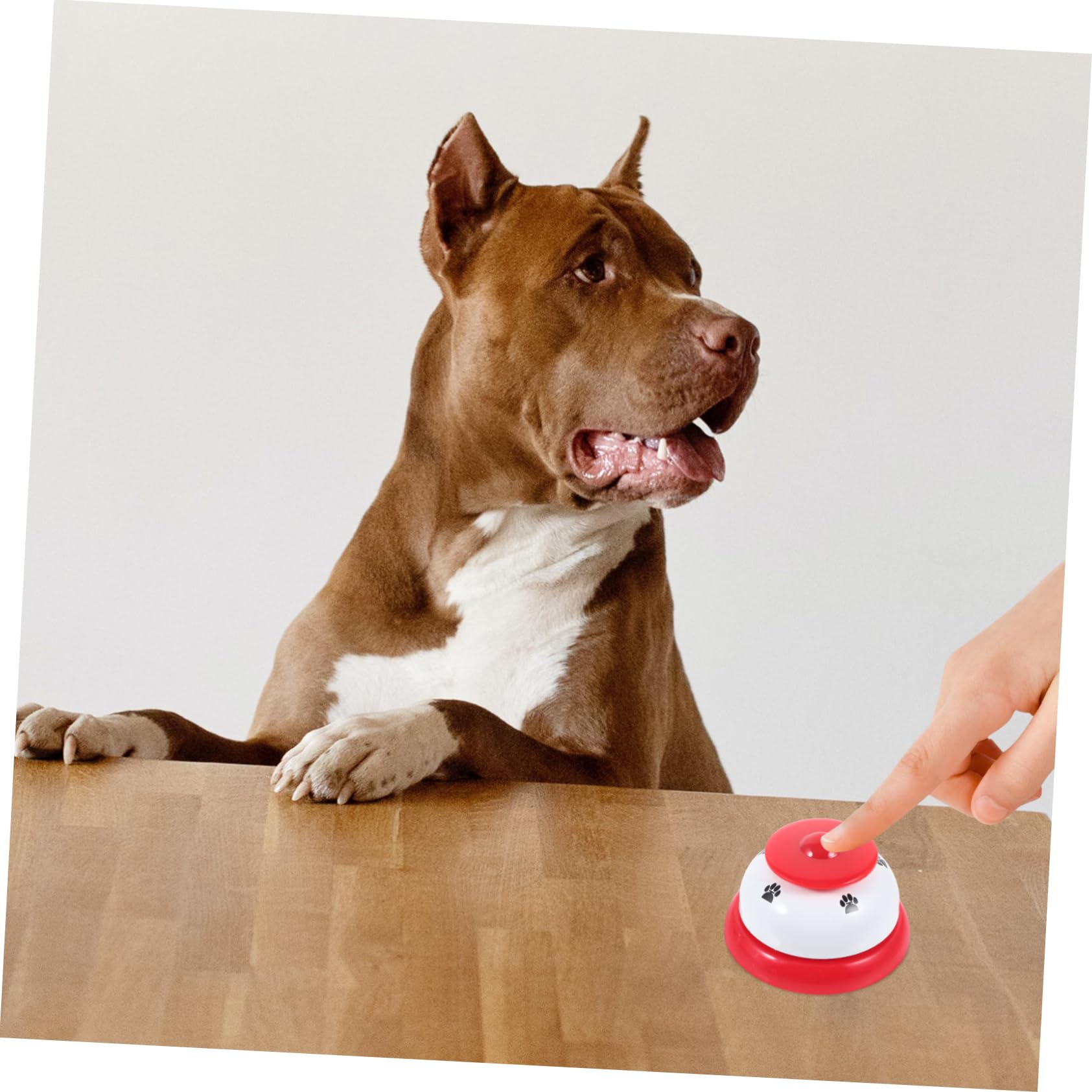 INOOMP Dog Training Bell Puppy Potty Training Bells Press Bell Pet Training Tool for Indoor and