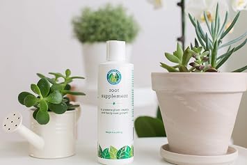 Houseplant Care Bundle