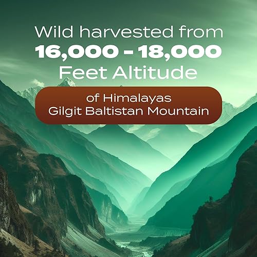 Miniatura 7 de Resina Shilajit pura del Himalaya de 1500 mg  40% de ácido fúlvico (potencia máxima)  Shilajit natural para hombres y mujeres con más de 85