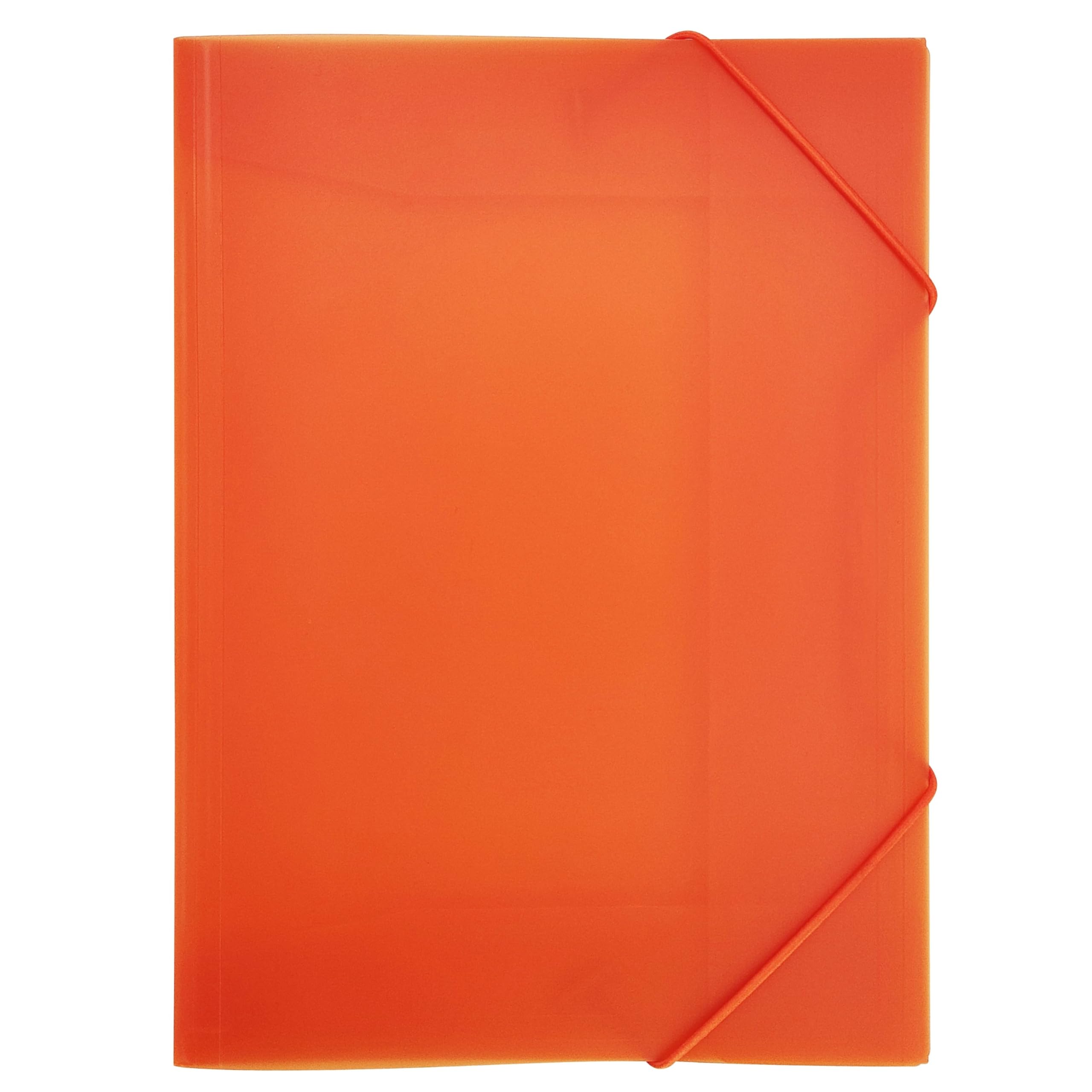 RAYLU PAPER - File Folder With Clear A4 Plastic Sleeves And Durable - View #4