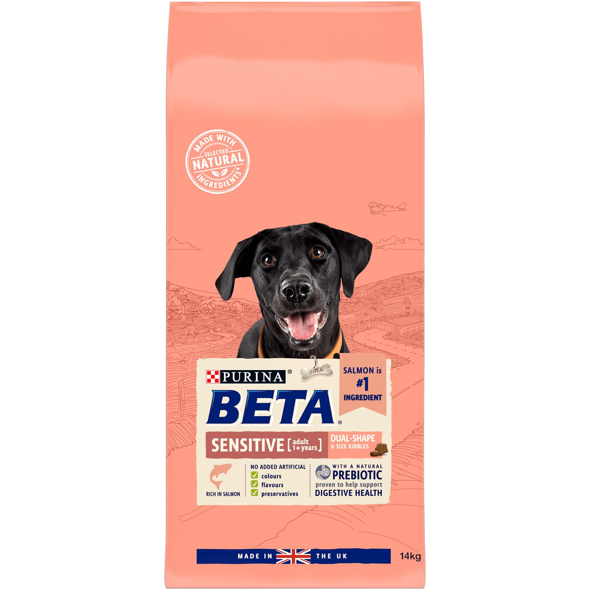 BETA Adult Sensitive Salmon Dry Dog Food 14kg