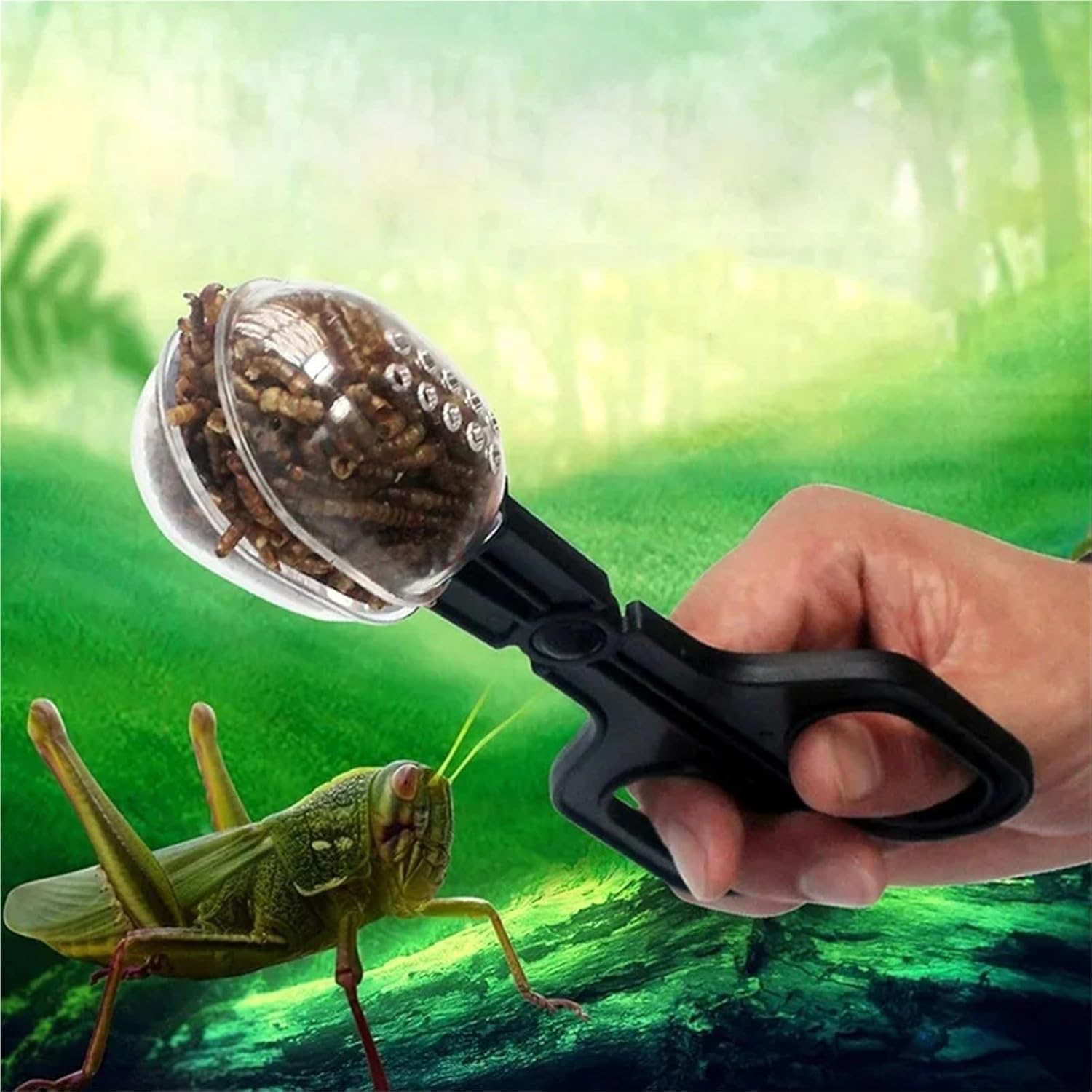 Scissor-Type Reptile Feeding Clip (Insect/Breadbug)