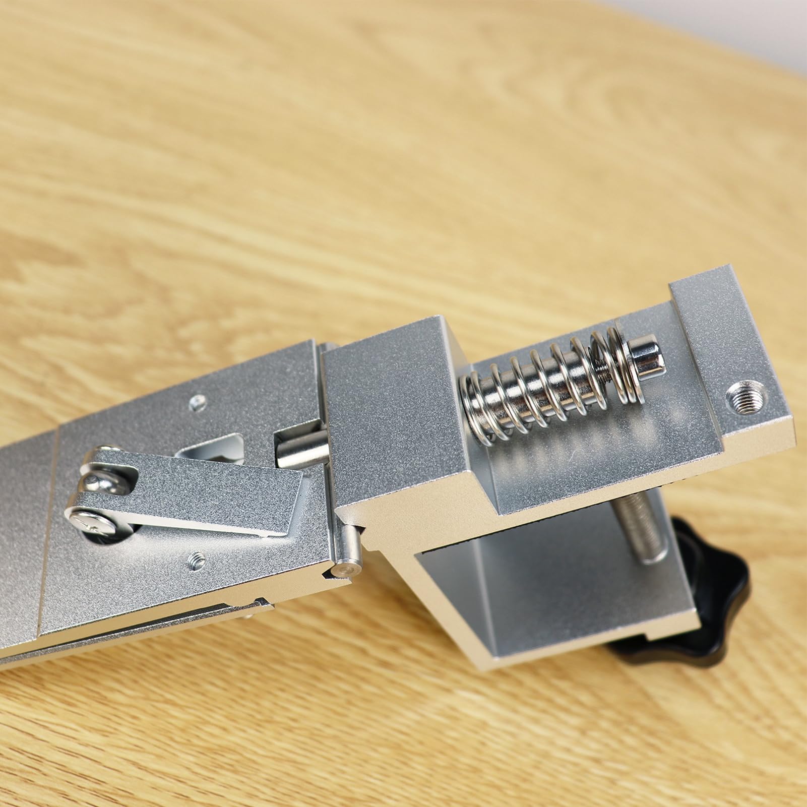 Fafeicy di Affilatura Guidata, Utensile in Lega di Alluminio con Pietre di Grana 150/400/800/2000 per Lame da Cucina e da Esterno (Con 4 pietre diamantate)