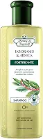 Flores e Vegetais Shampoo Jaborandi Arnica Fort 310Ml E Vegetais