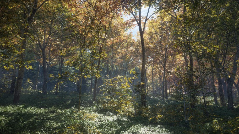 The Hunter: Call of The Wild - Version Française