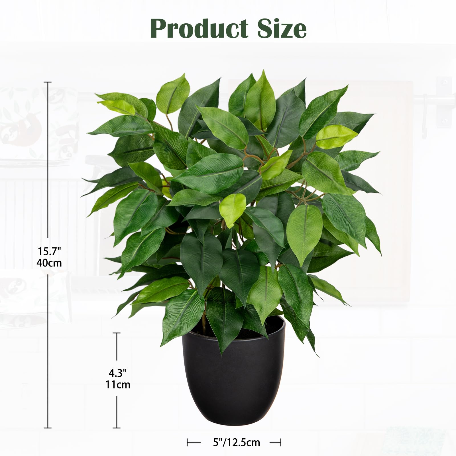 enzian als zimmerpflanze Gefleckter Enzian Blumensamen – Pure Asia Seeds