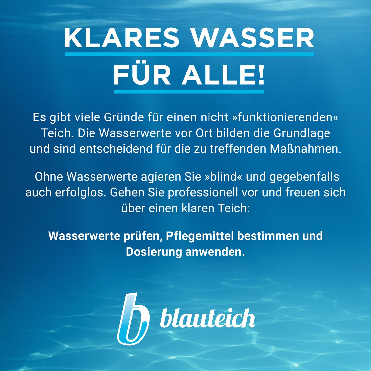 blaumacher Anti-ALG Fadenalgenvernichter für Gartenteiche – Startbehandlung für bis zu 20.000 Liter Teichwasser – 2 kg