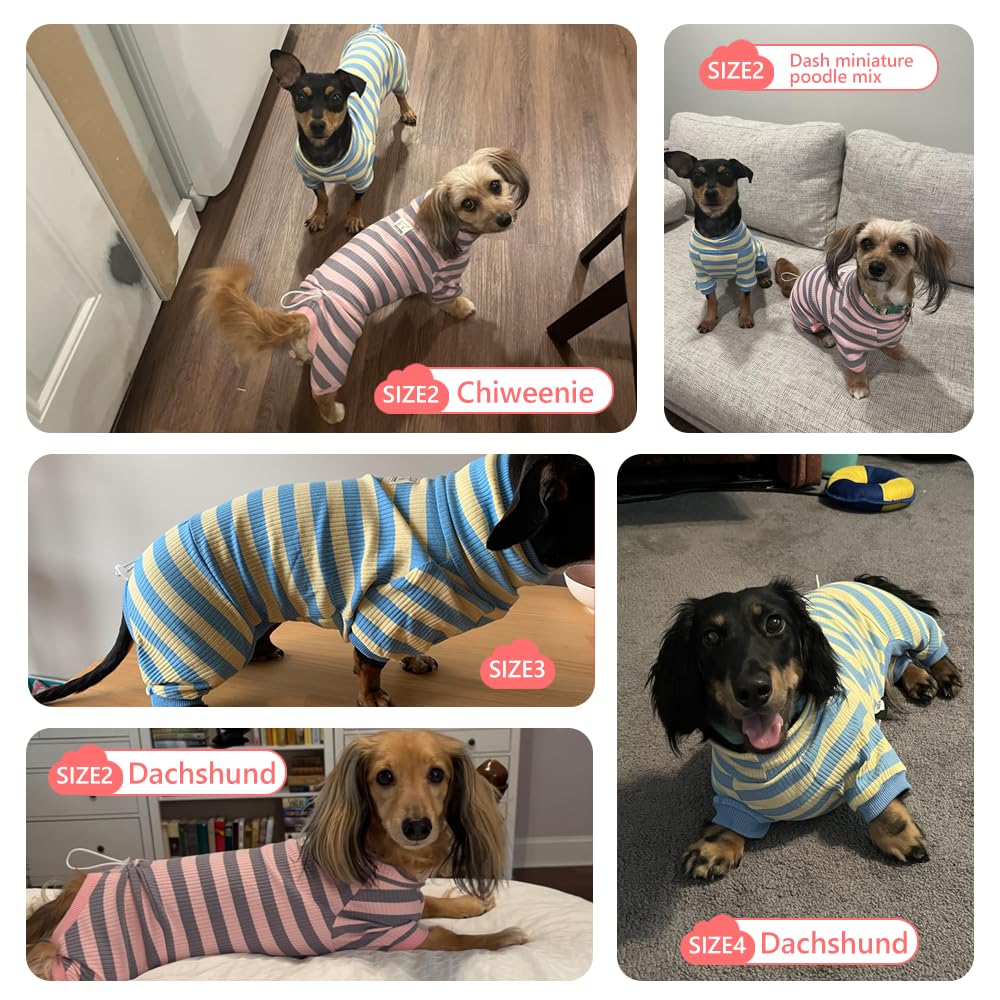Dackel-Hunde-Shirt, dünn gestreift, Einteiler für Wiener-Hunde, leicht, für alle Jahreszeiten, weiche und bequeme Passform für Doxie- und Kurzbeinrassen, Blau und Gelb, Größe 3 (7,3–9,5 kg))