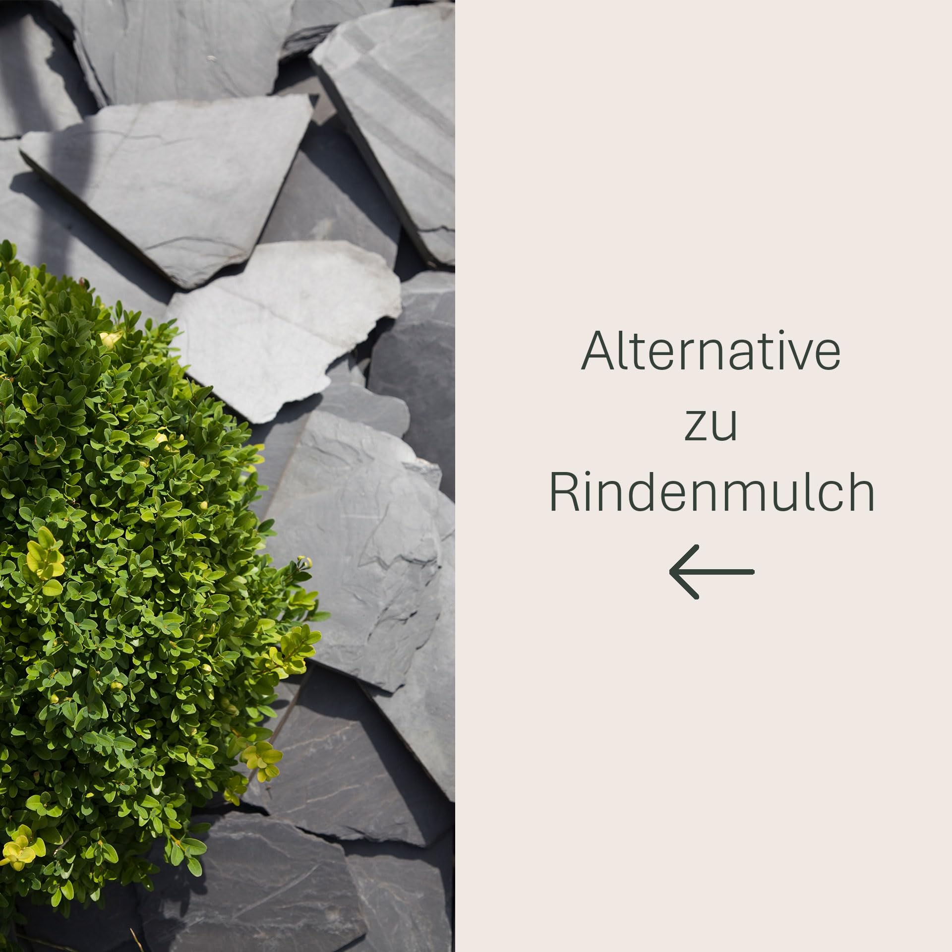 Schicker Mineral Schiefer Ziersplitt schwarz 70-200 mm 25 kg, Schiefersplitt aus Deutschland, Schieferbruch, farbechter Naturstein ideal zur Gartengestaltung und als Alternative zu Rindenmulch