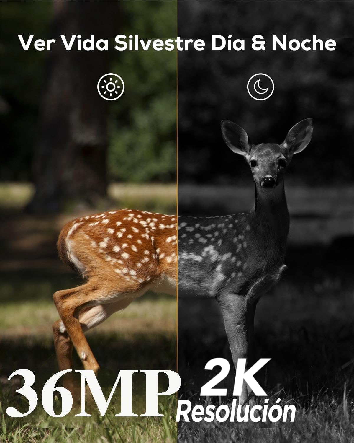 iZEEKER Cámara de Caza, 36MP HD Cámara Caza Nocturna con 940nm IR LED Sin Brillo Invisible, de Impermeable IP66 para Observación de Vida Silvestre y Monitoreo de Seguridad en Interiores