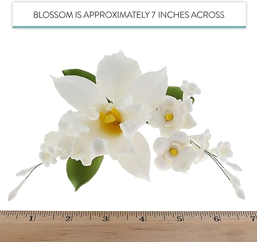 Vista 6 de Global Sugar Art Cattleya Orchid Sugar Cake Flowers - Aerosol arqueado, blanco, 1 unidad por el chef Alan Tetreault Cattleya - Spray de orquídea