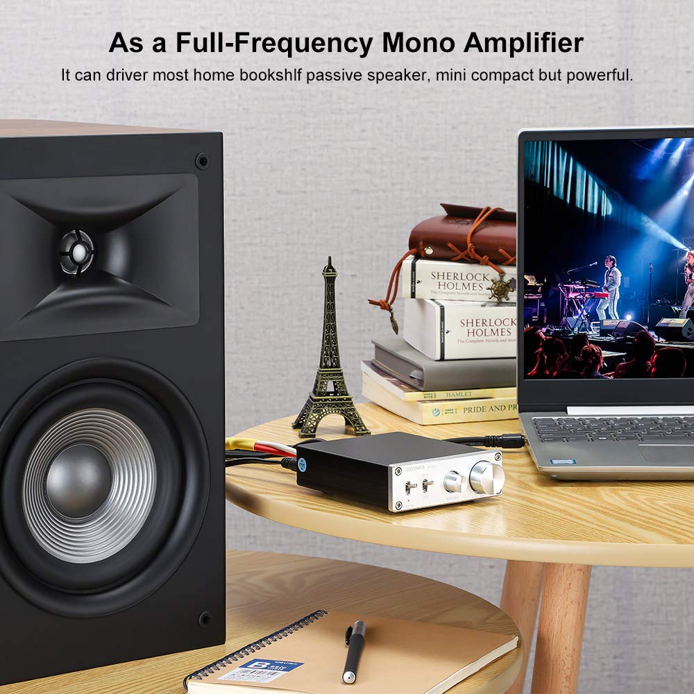 AIYIMA 100W Subwoofer Amplifier Class D HiFi Mono Channel Amplifier