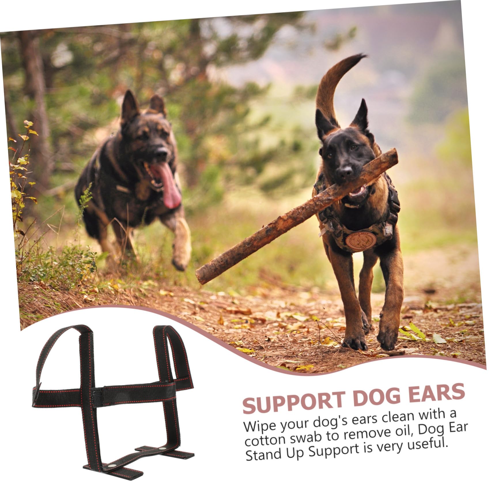 Soporte Pequeños de Poliéster para Orejas Perro de Negro Herramienta Conveniente Kit Simple y Colocar Grandes Cachorro Perros