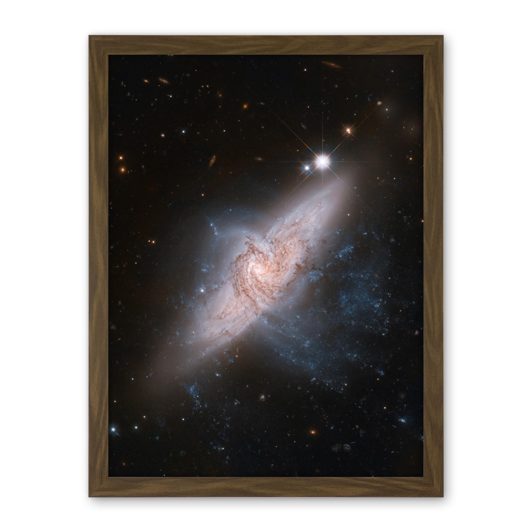 Artery8 Hubble Space Telescope Image Chance Alignment Between Galaxies Mimics A Cosmic Collision NGC 3314 Overlapping Galaxy Angle Artwork Framed Wall Art Print 18X24 Inch